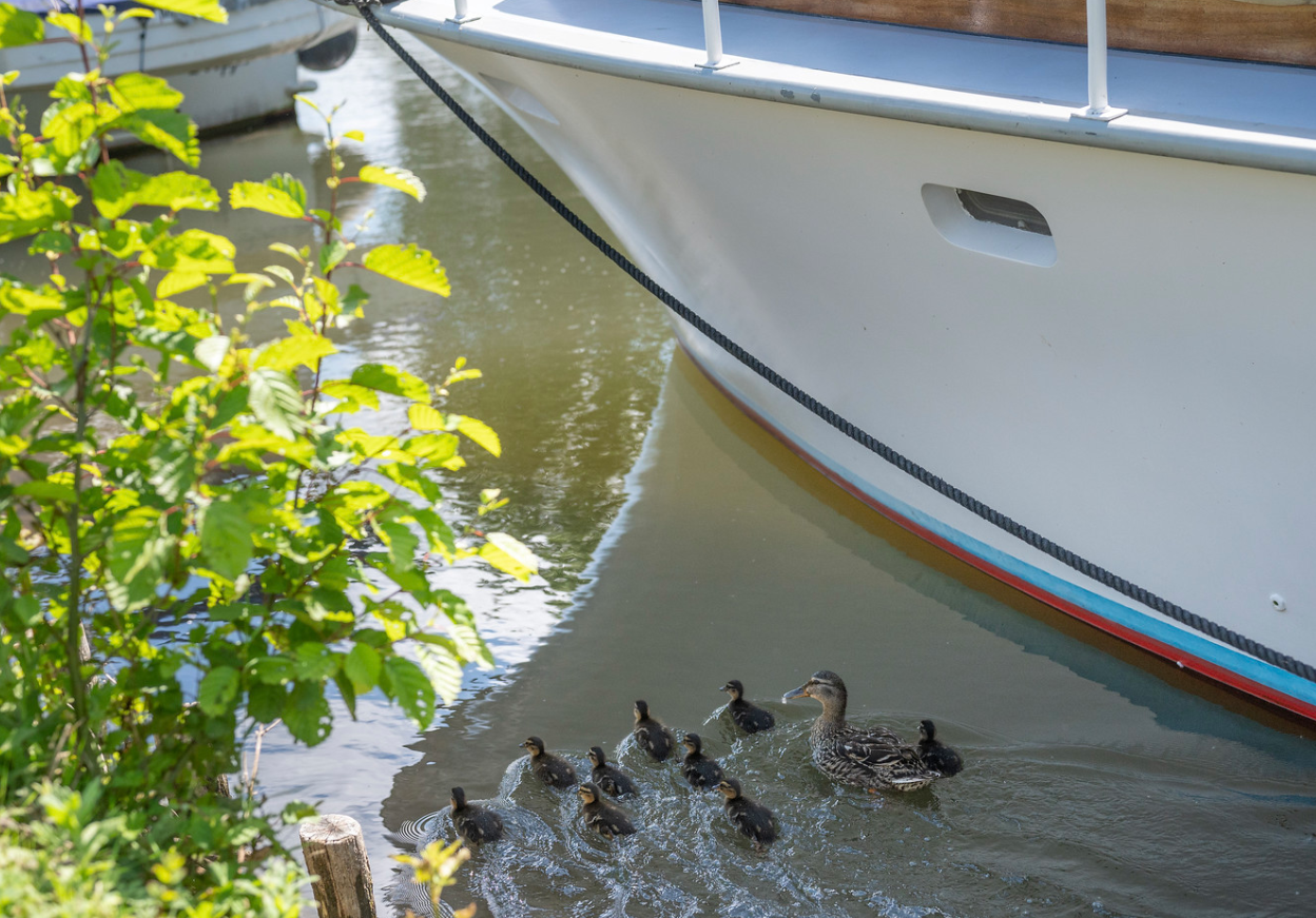 Un voyage insolite à bord du bateau ORKA en Picardie à Eaucourt Sur Somme — salle de bain