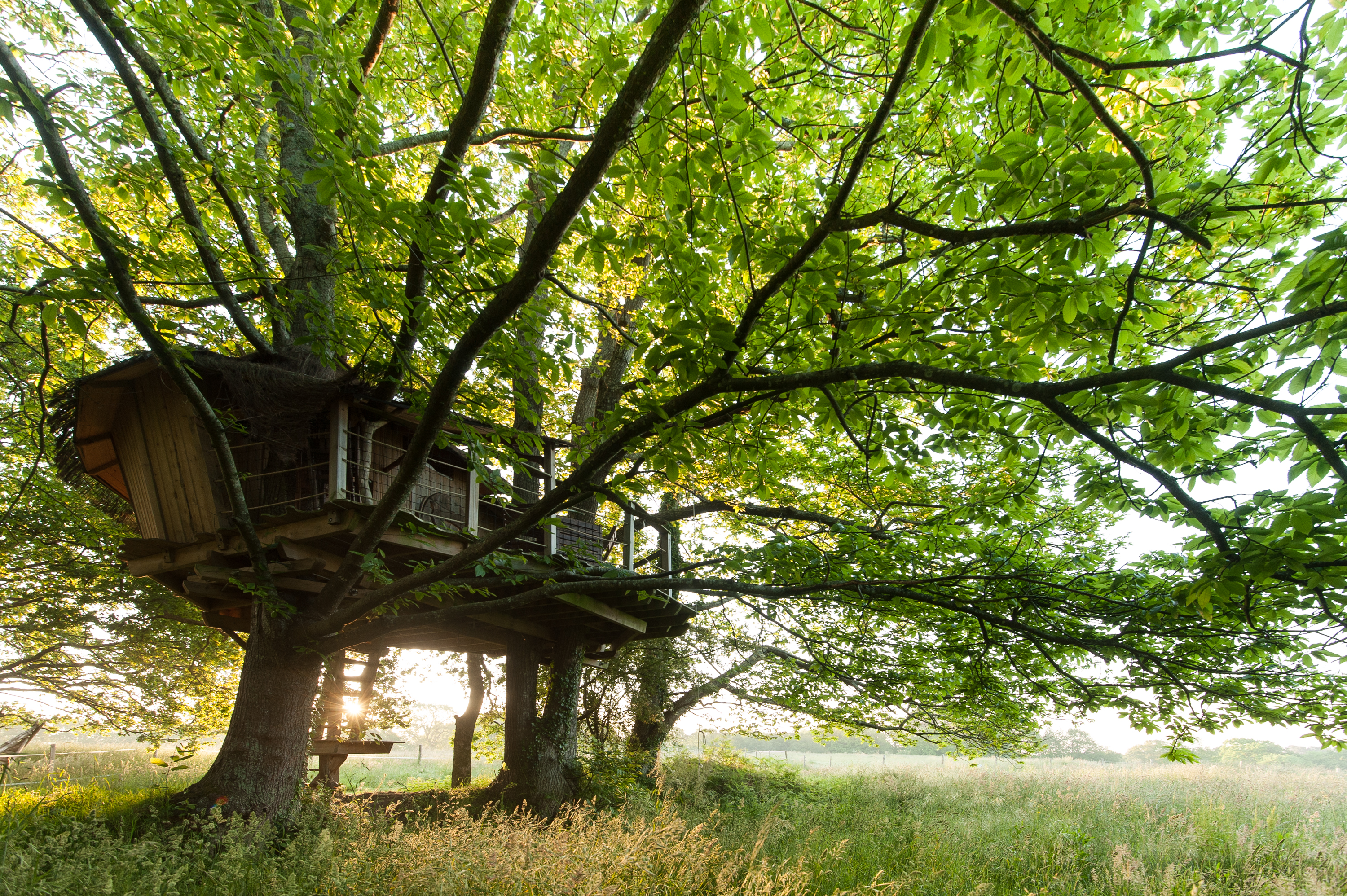 La Cabane perchée Folenn : une expérience unique dans les arbres — Cabane à Ploemel