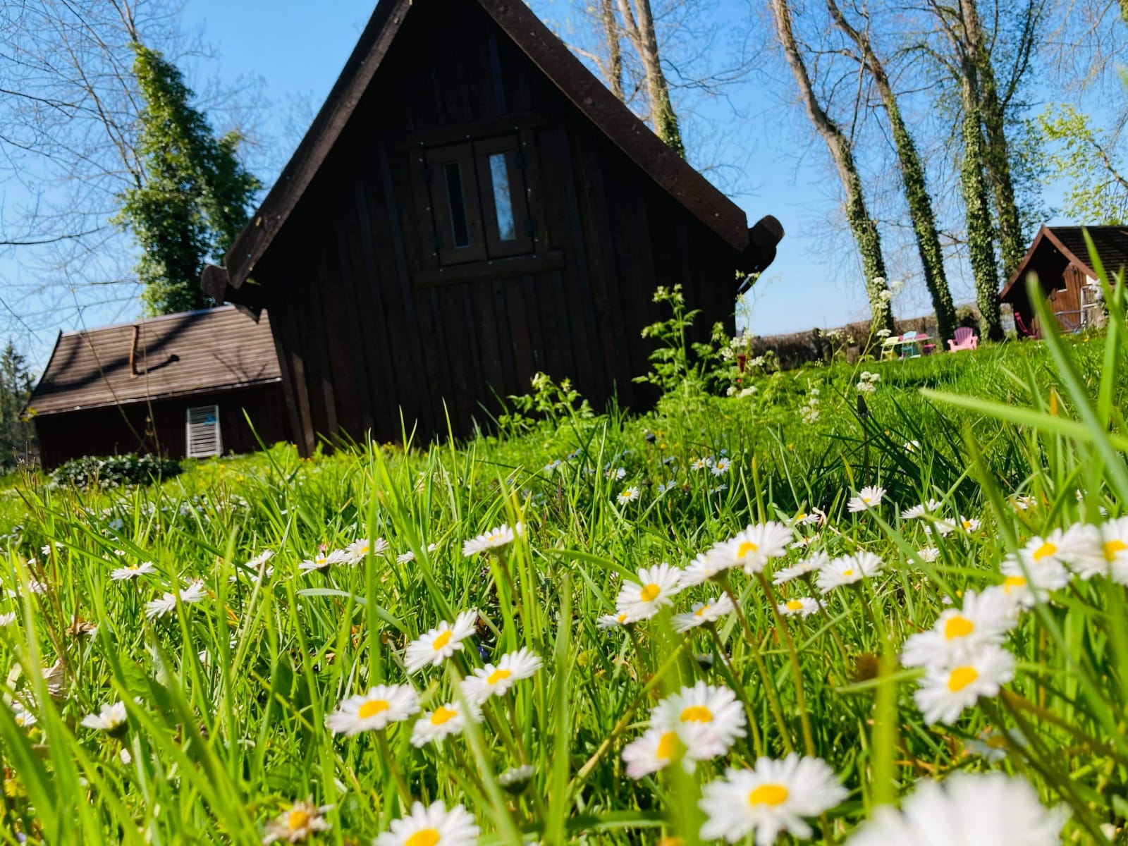 Une cabane de troll pour une escapade insolite en Champagne
