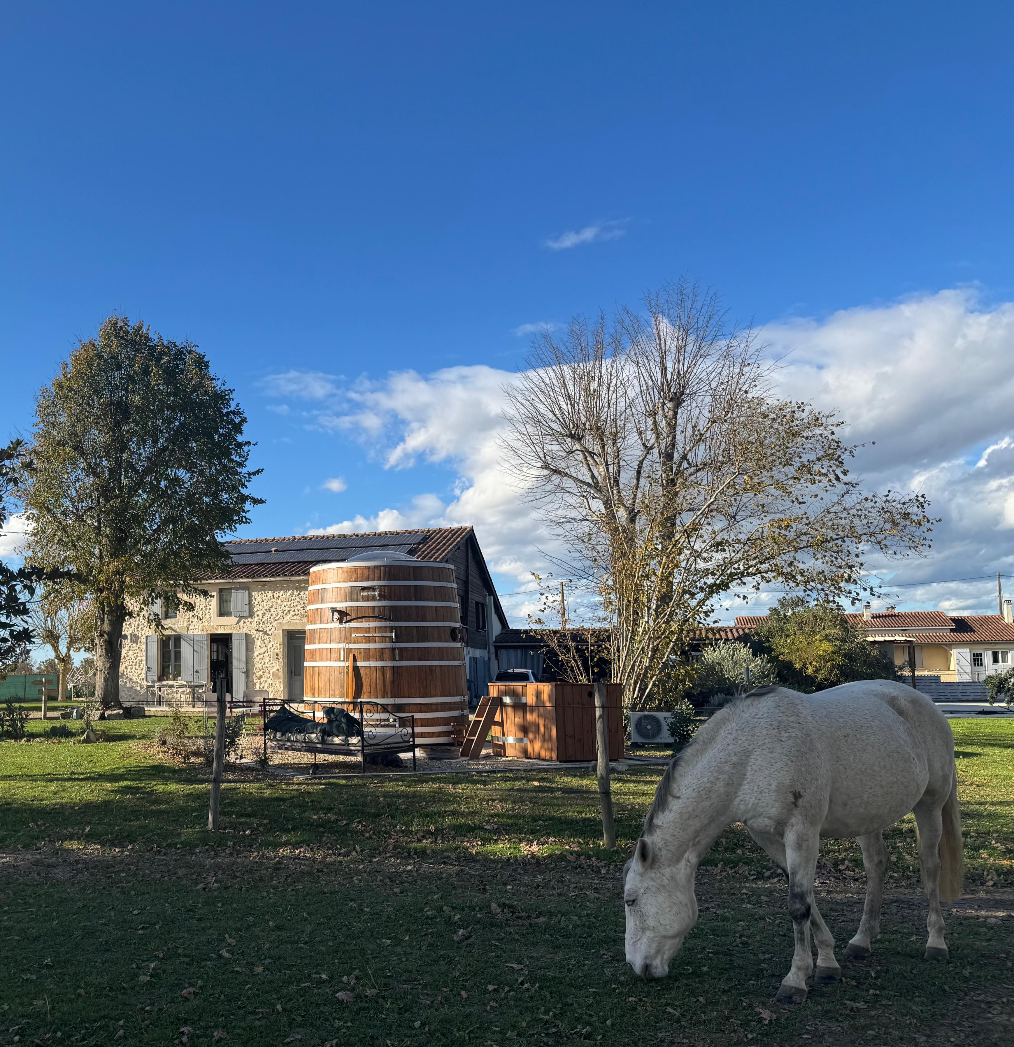 Le Foudre Talbot — Dôme avec spa privatif à Lot-et-Garonne