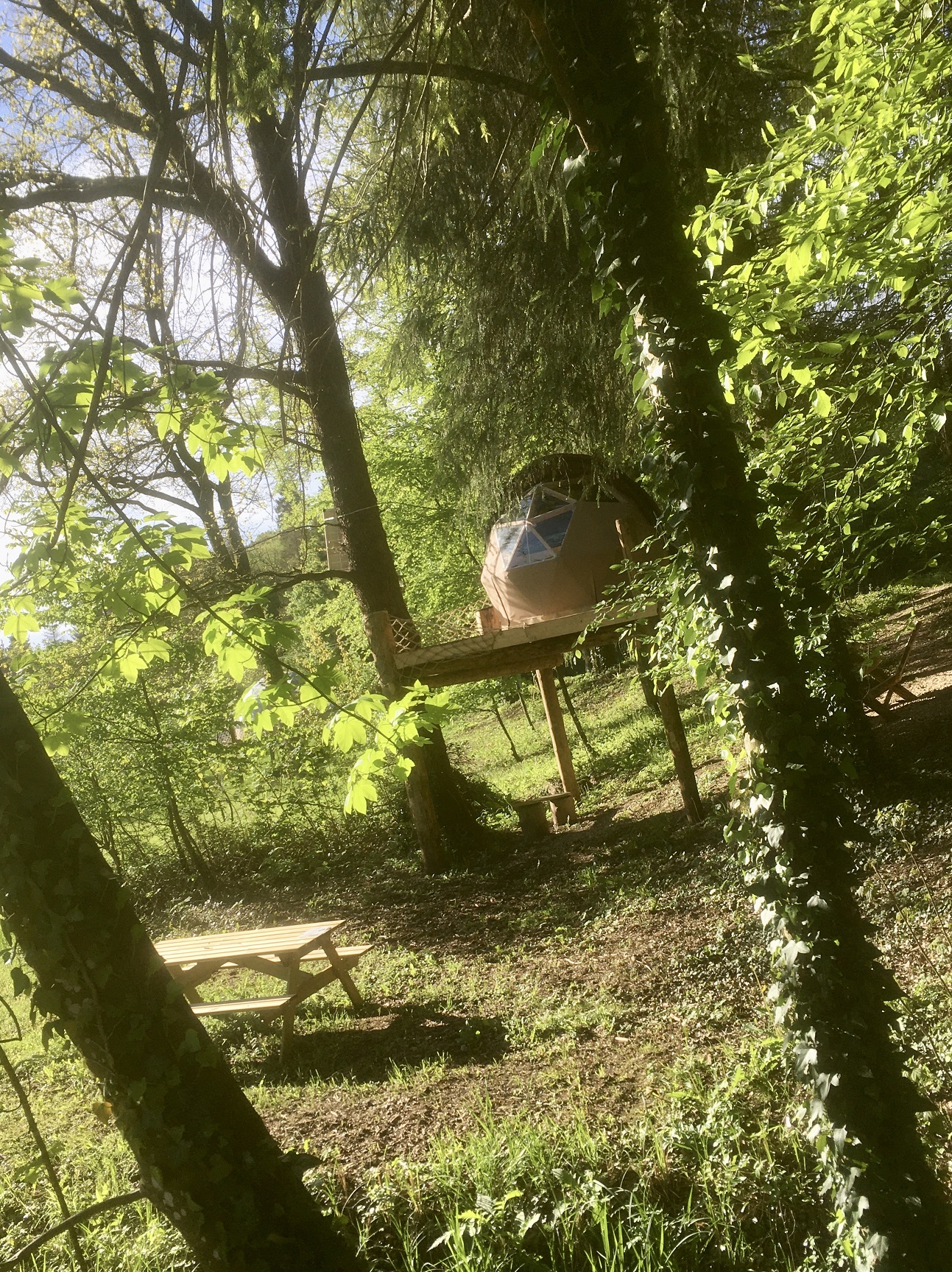 Petite Ourse — Dôme perché à 4m dans les arbres en Meuse à Saint-Remy-la-Calonne — salle de bain