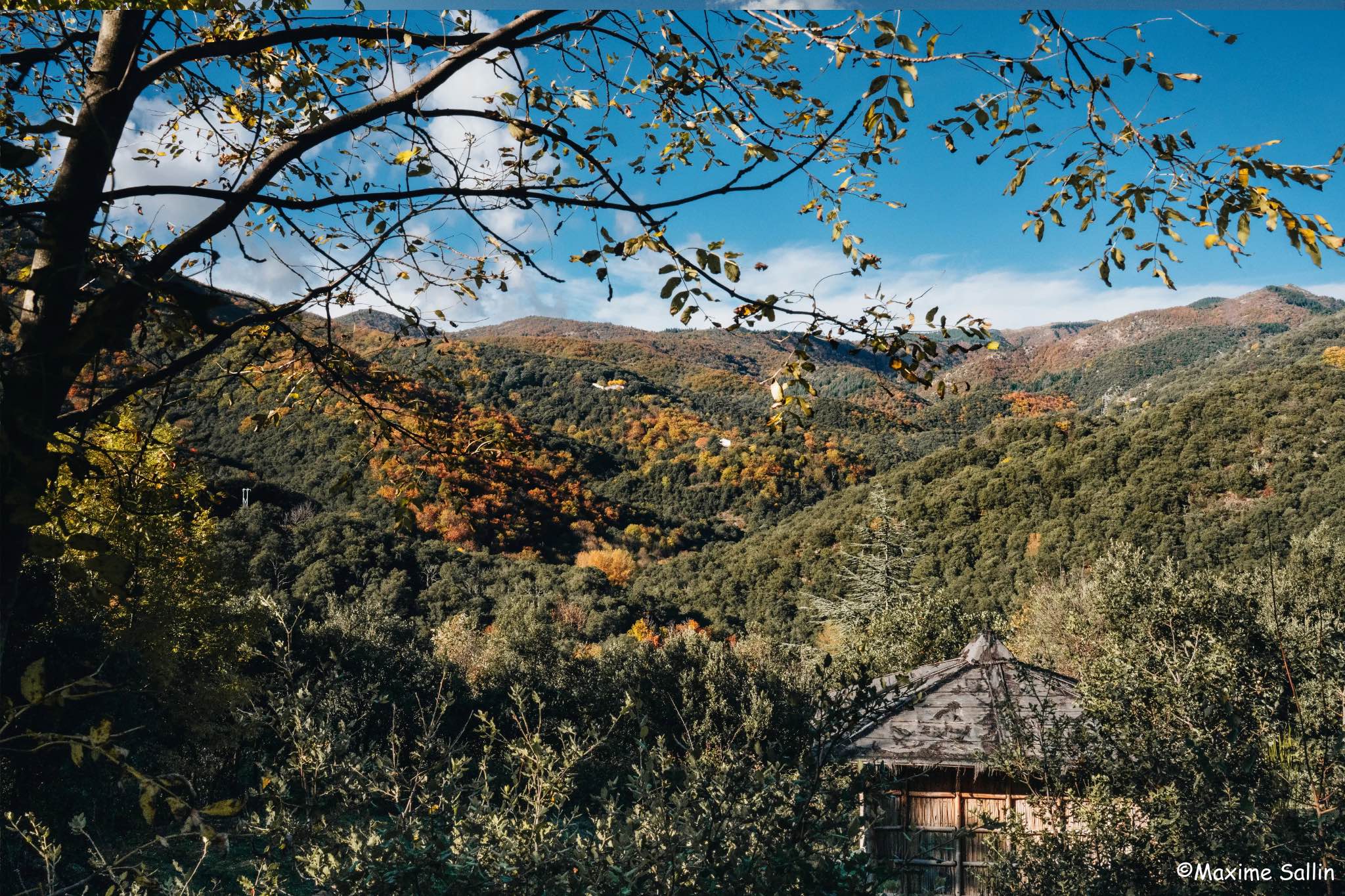 Cabane Bambou — Séjour exotique avec spa à Lascoutch (Gard) à Soudorgues — environnement naturel