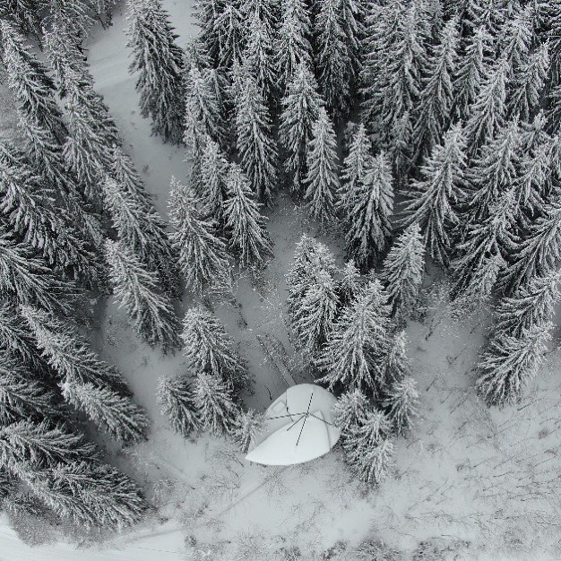Cabane Feuille & Spa : une immersion dans les arbres à Saint Nicolas La Chapelle — vue intérieure