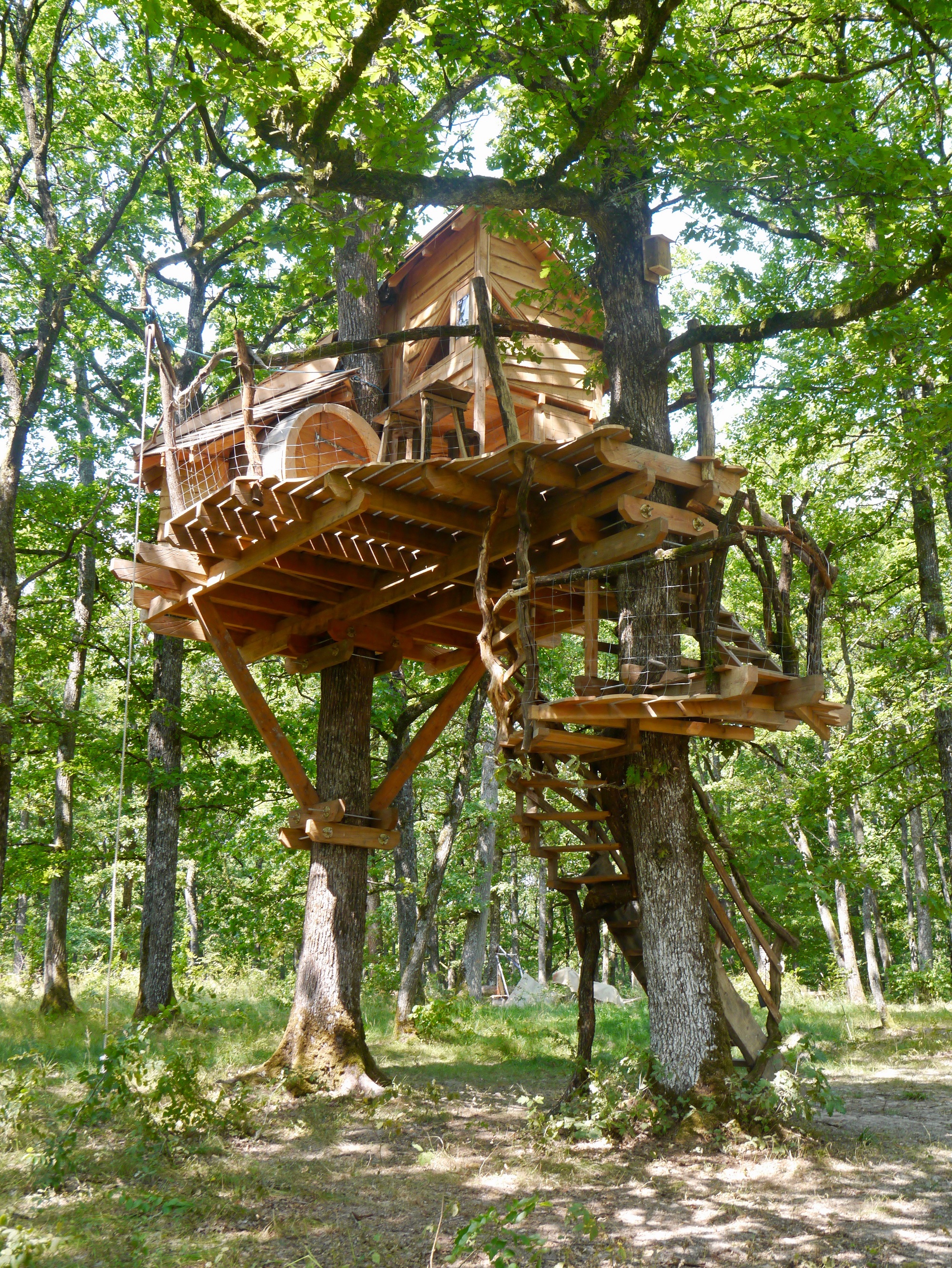 Haona Nui : une cabane dans les arbres en Lorraine