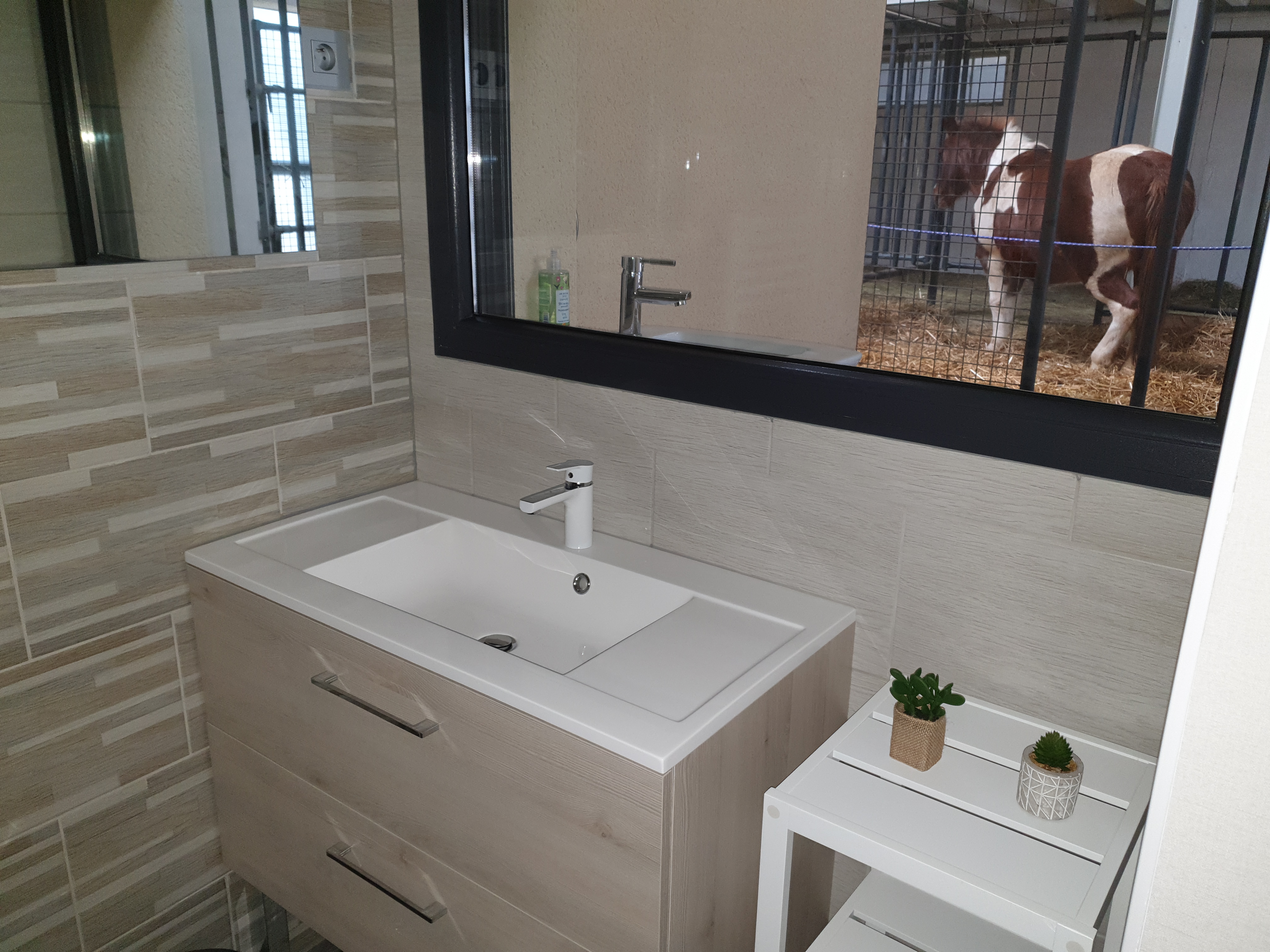 Suite 3 — Hébergement avec jacuzzi et vue sur chevaux à Vosges à Épinal — détail architectural