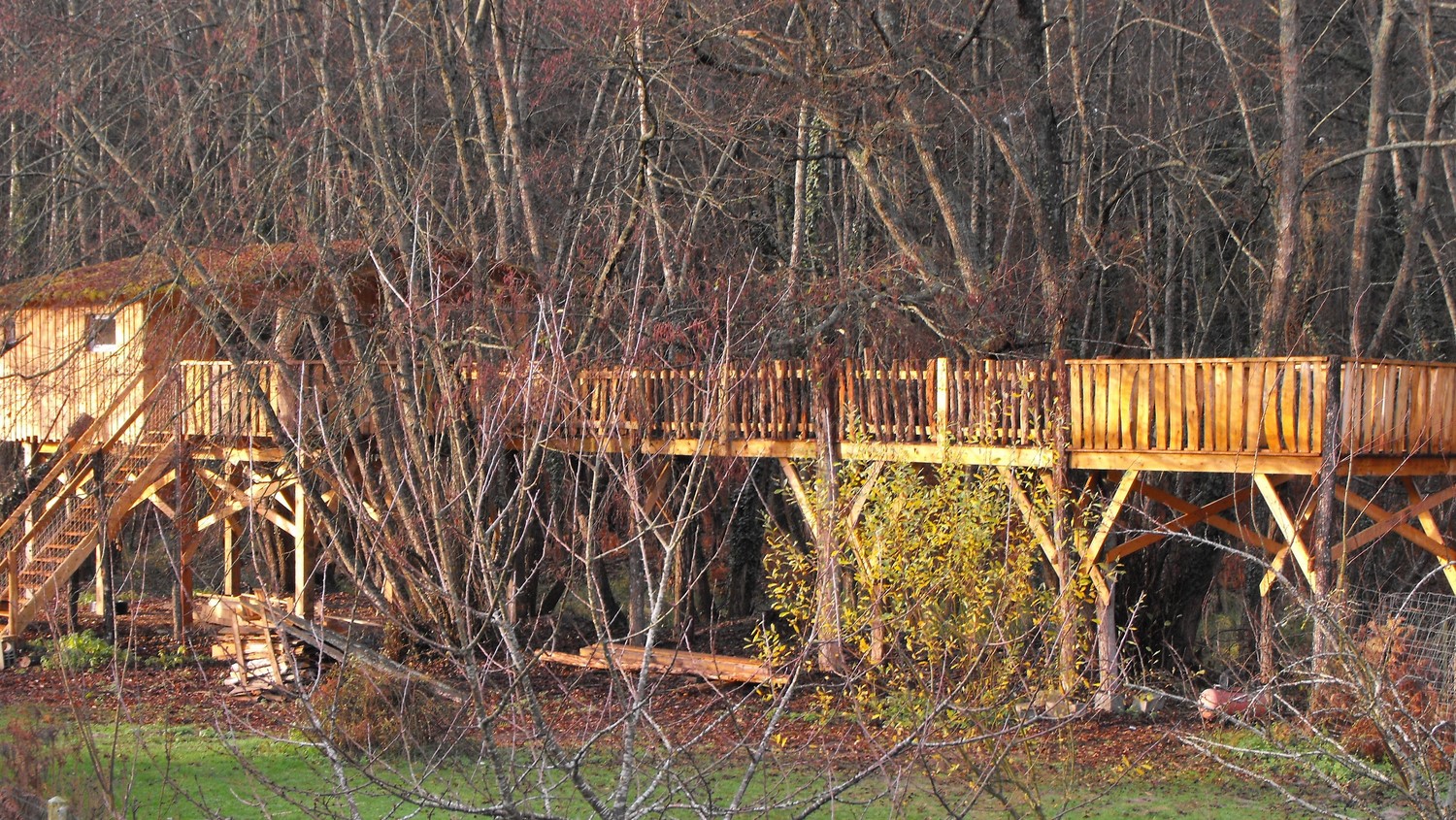 Cabane des Cerfs : une expérience suspendue en Aquitaine à Allons — espace de vie