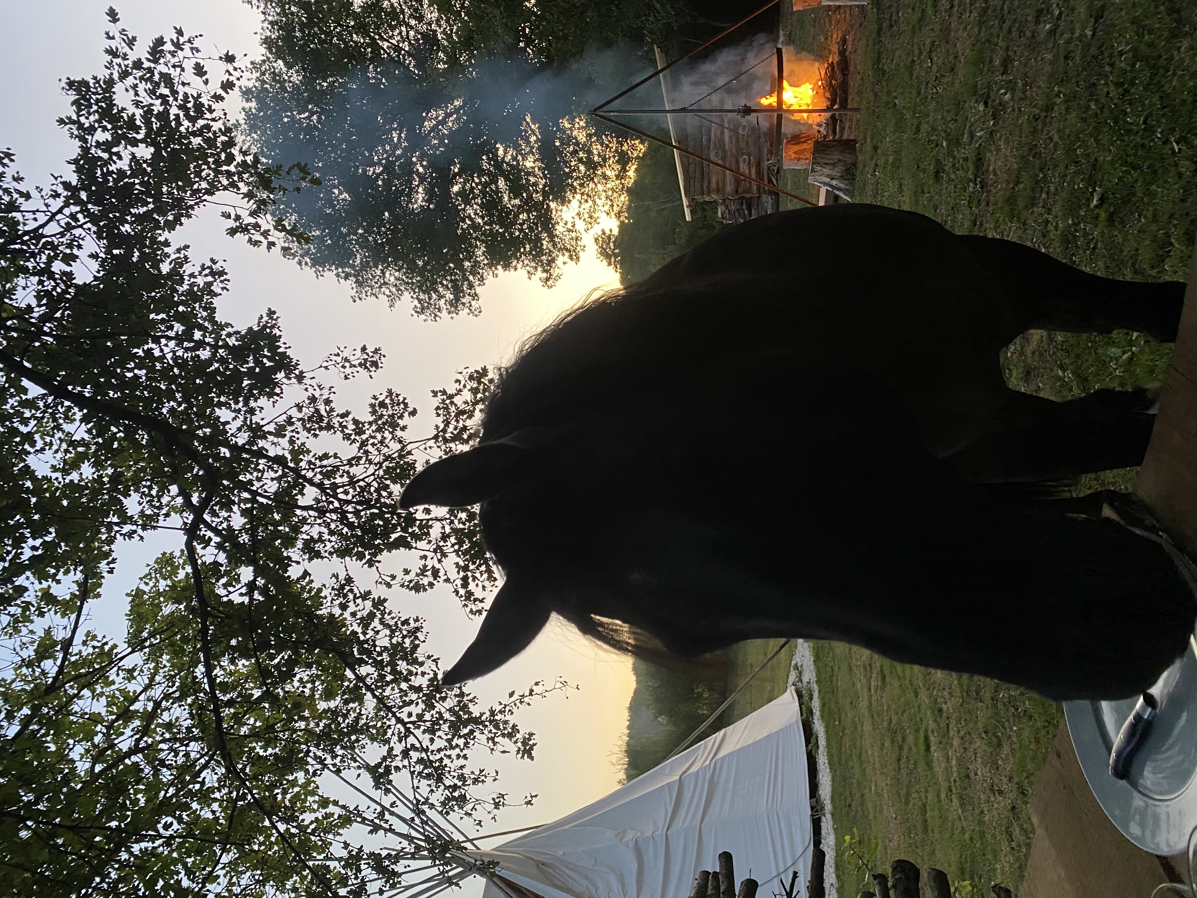 Tipi Lakota — Expérience authentique au bord d'un ruisseau en Nièvre à Nevers — cuisine