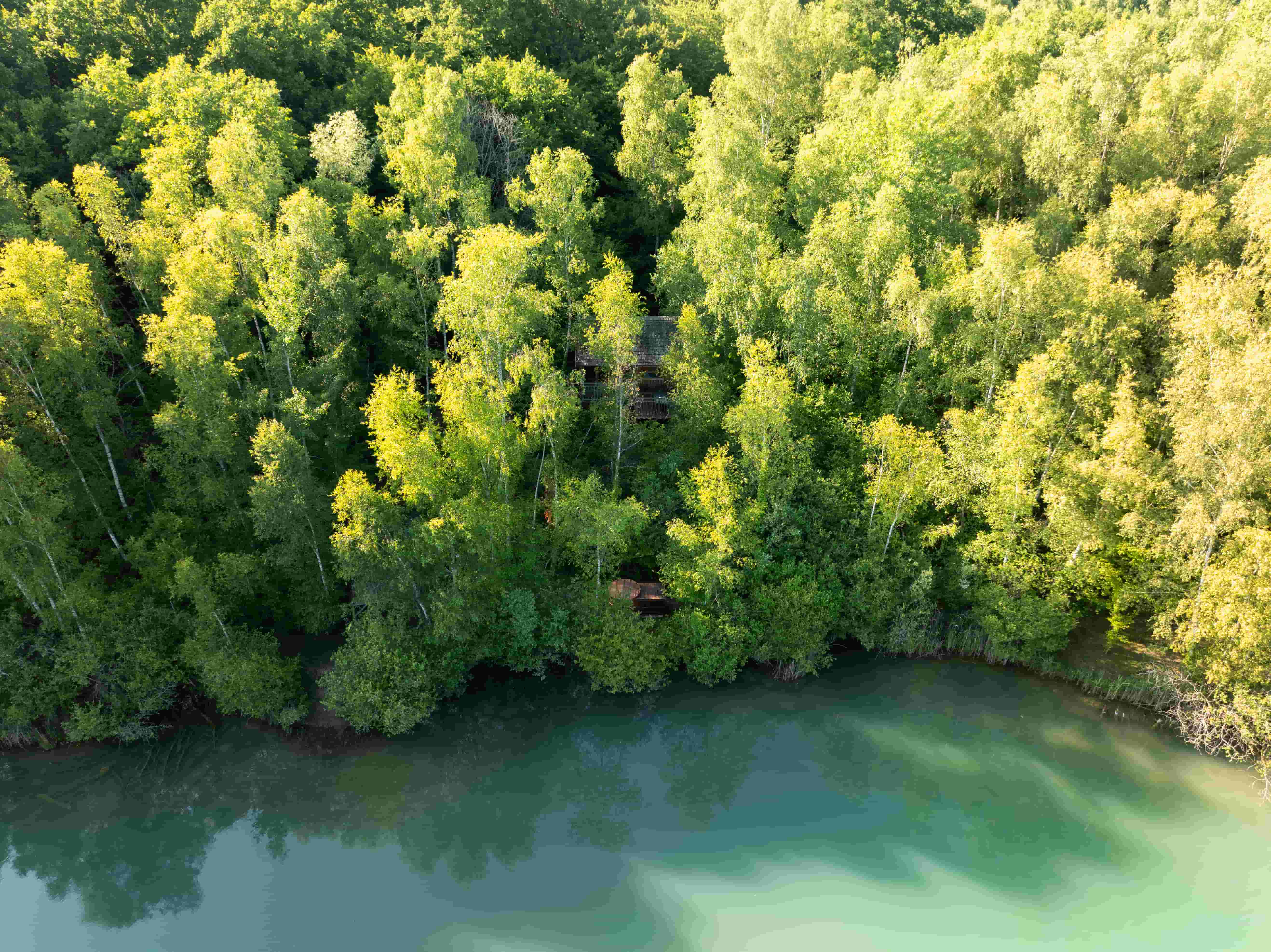 Cabane Spa Souffle d'Emeraude : une expérience unique en Picardie à St-Léger-Aux-Bois — environnement naturel