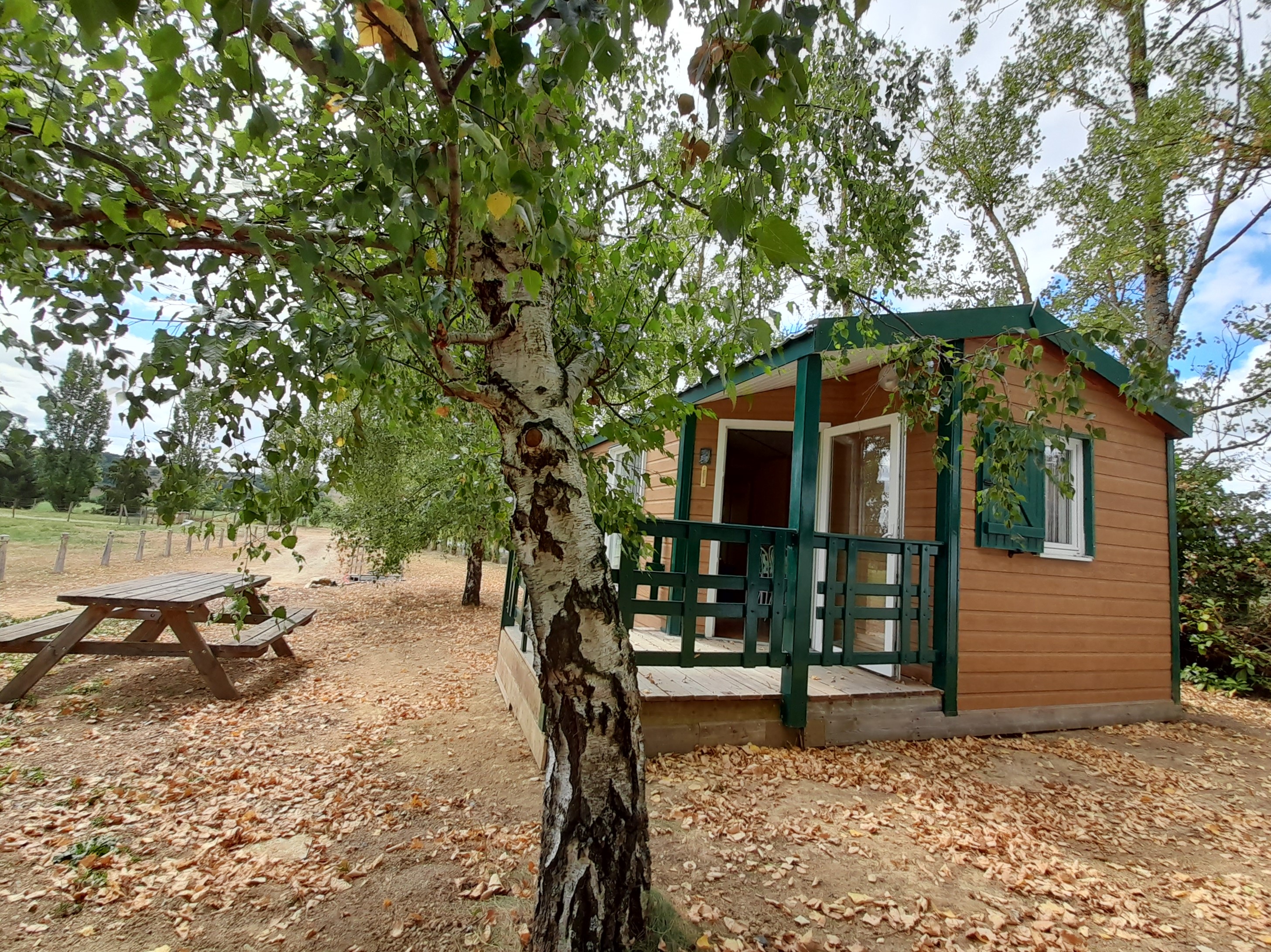 Chalet Nature & Bois : Évasion au cœur des Midi-Pyrénées — Chalet à Sarrecave