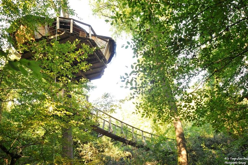 Cabane Amazonie : une évasion perchée dans les arbres à Magné — espace de vie