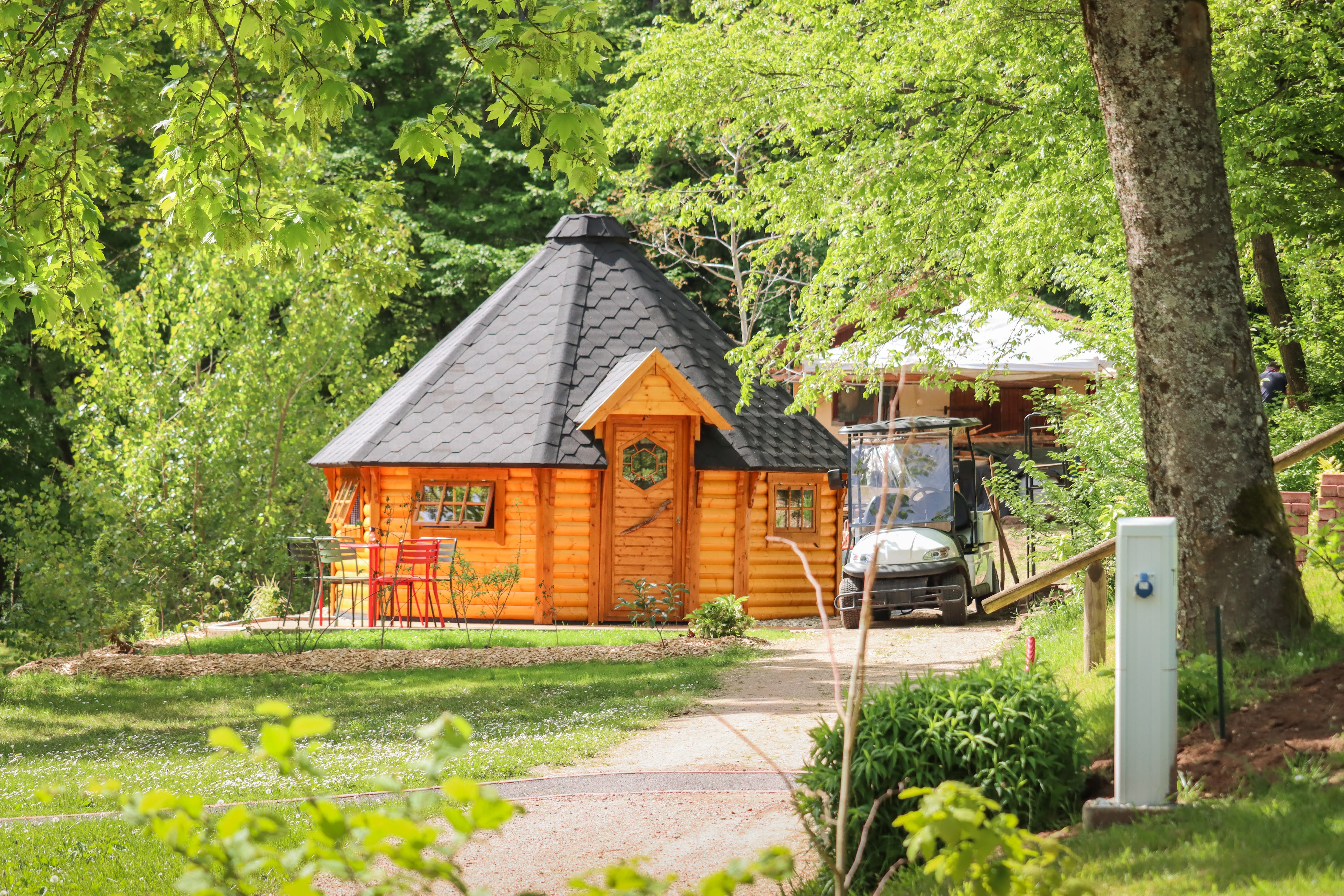 Myrtille : un kota enchanteur en Alsace