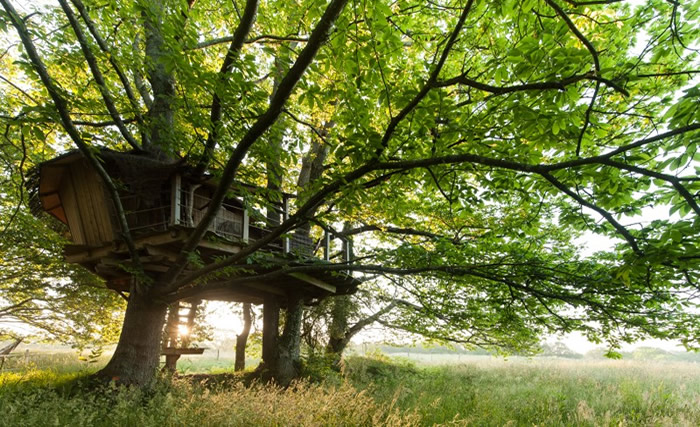 La Cabane perchée Folenn : une expérience unique dans les arbres à Ploemel — espace de vie
