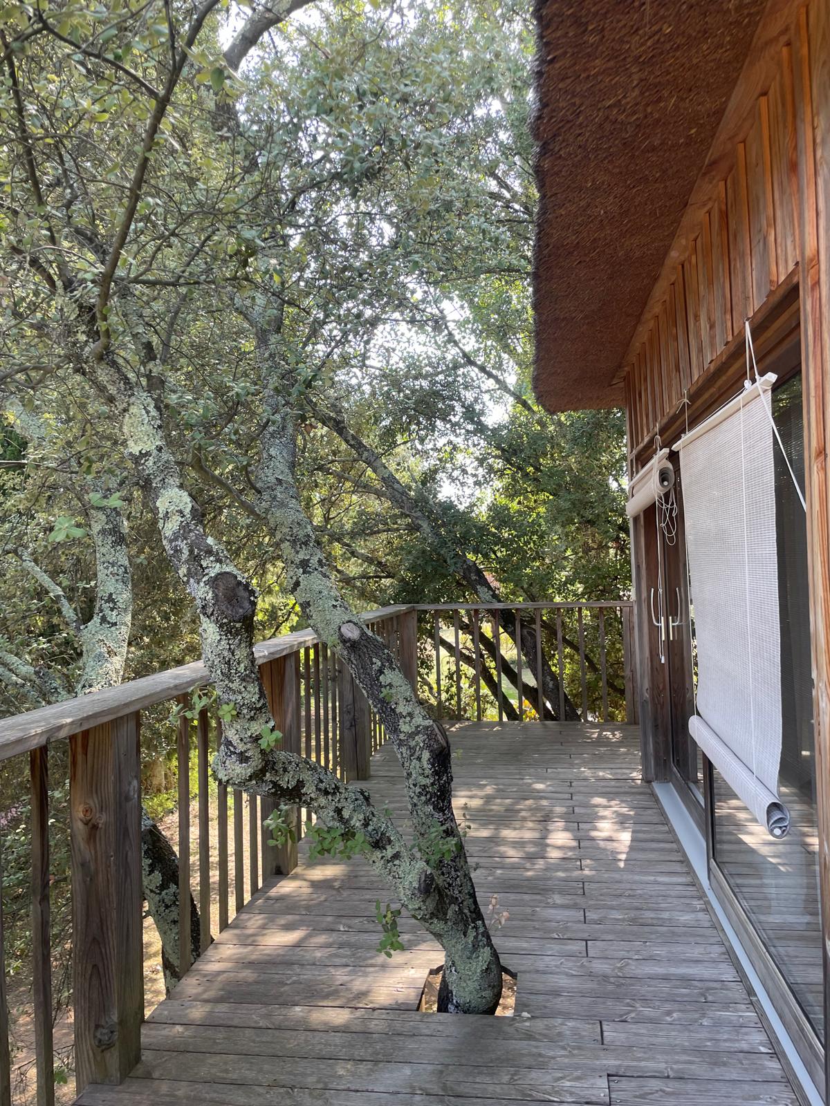 Lodge dans les arbres — Cabane avec piscine à Villevieille (Gard) à Villevieille — cuisine