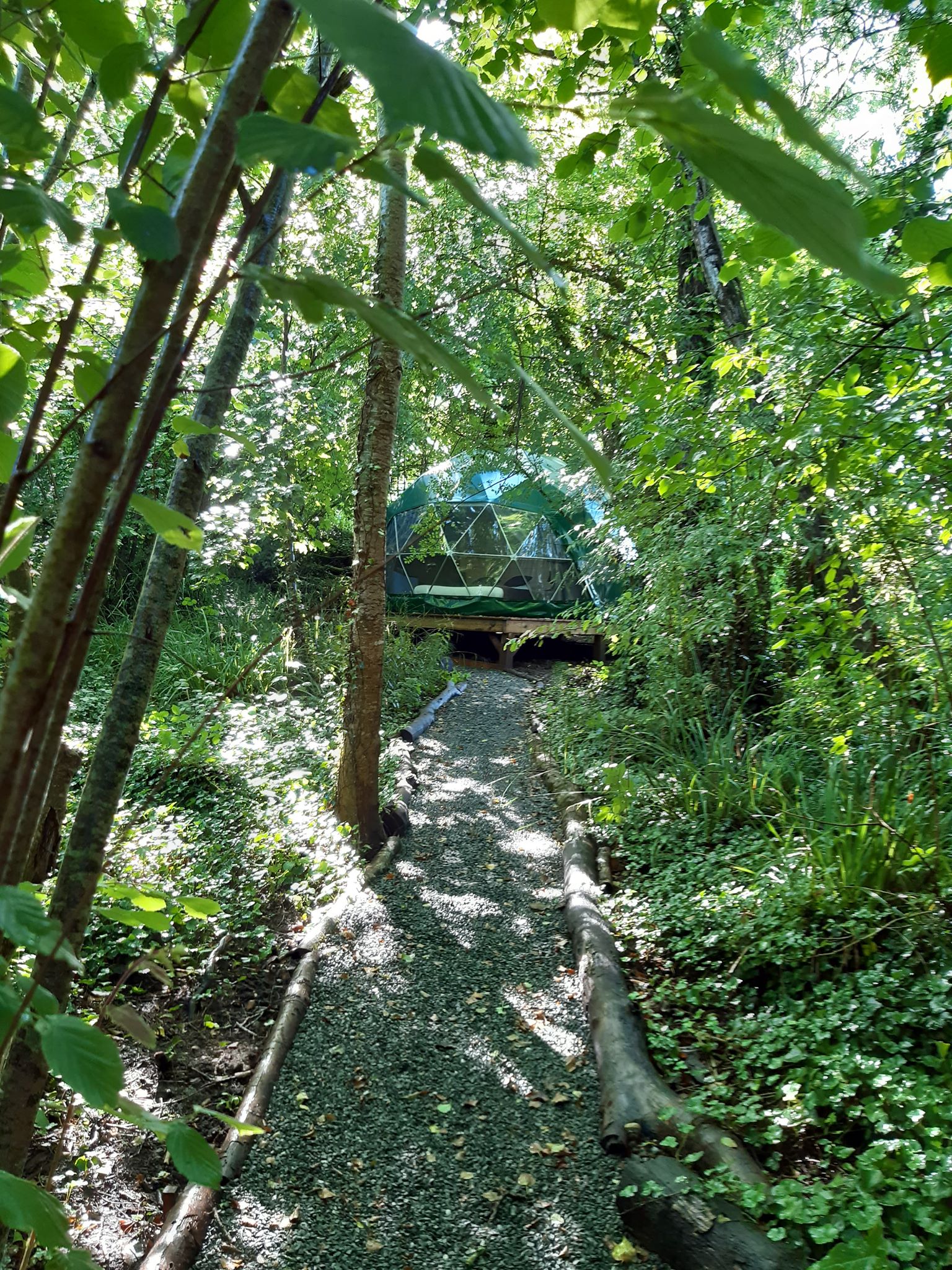Géode Frêne Doré — Dôme avec spa à 180° sur la forêt en Gironde à Bruges — vue intérieure