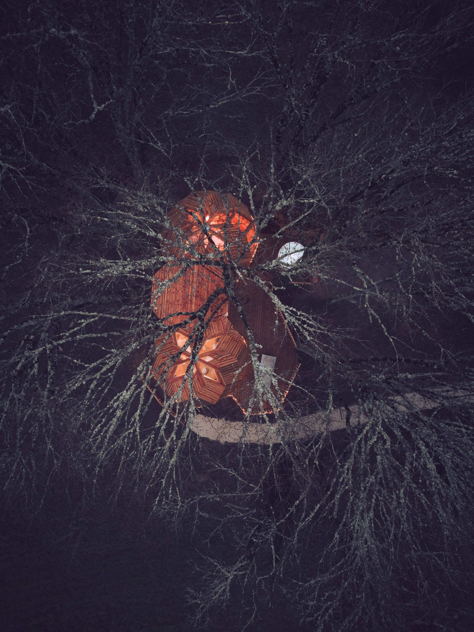 Zome Casse-Noisette & Spa