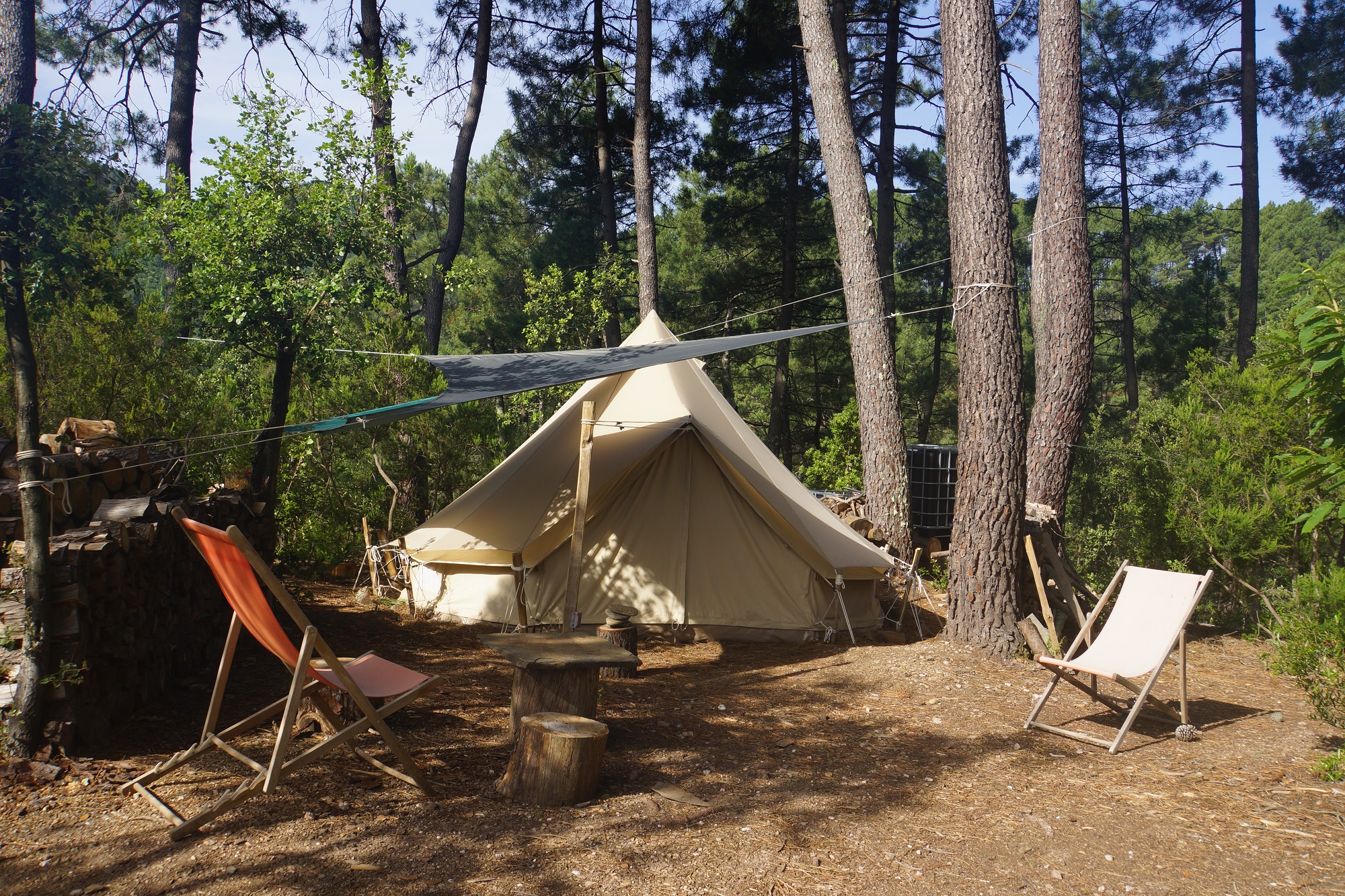 Tente Mouss : une escapade insolite en pleine nature à Chambon — cuisine