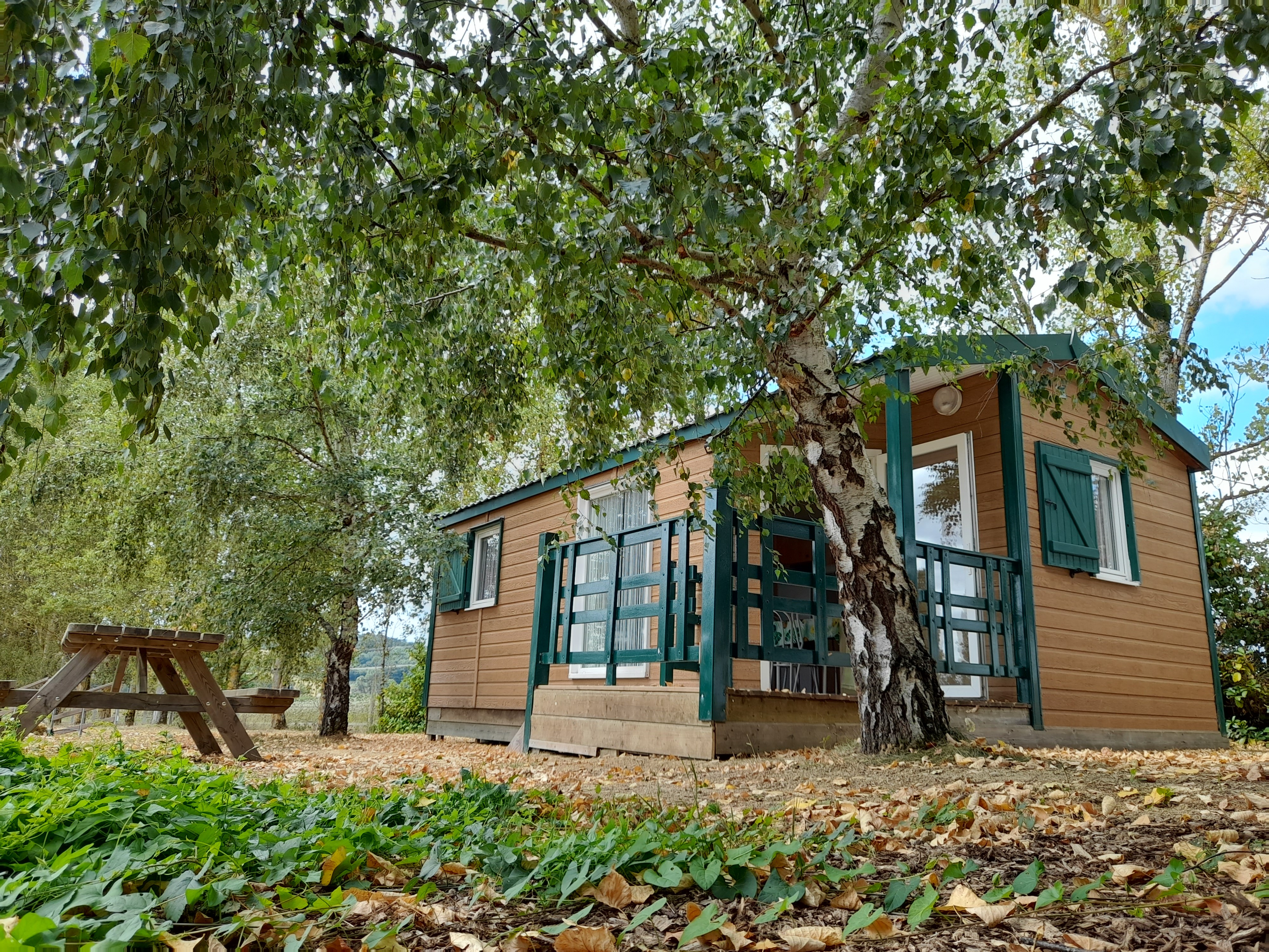 Chalet Nature & Bois : Évasion au cœur des Midi-Pyrénées à Sarrecave — vue intérieure