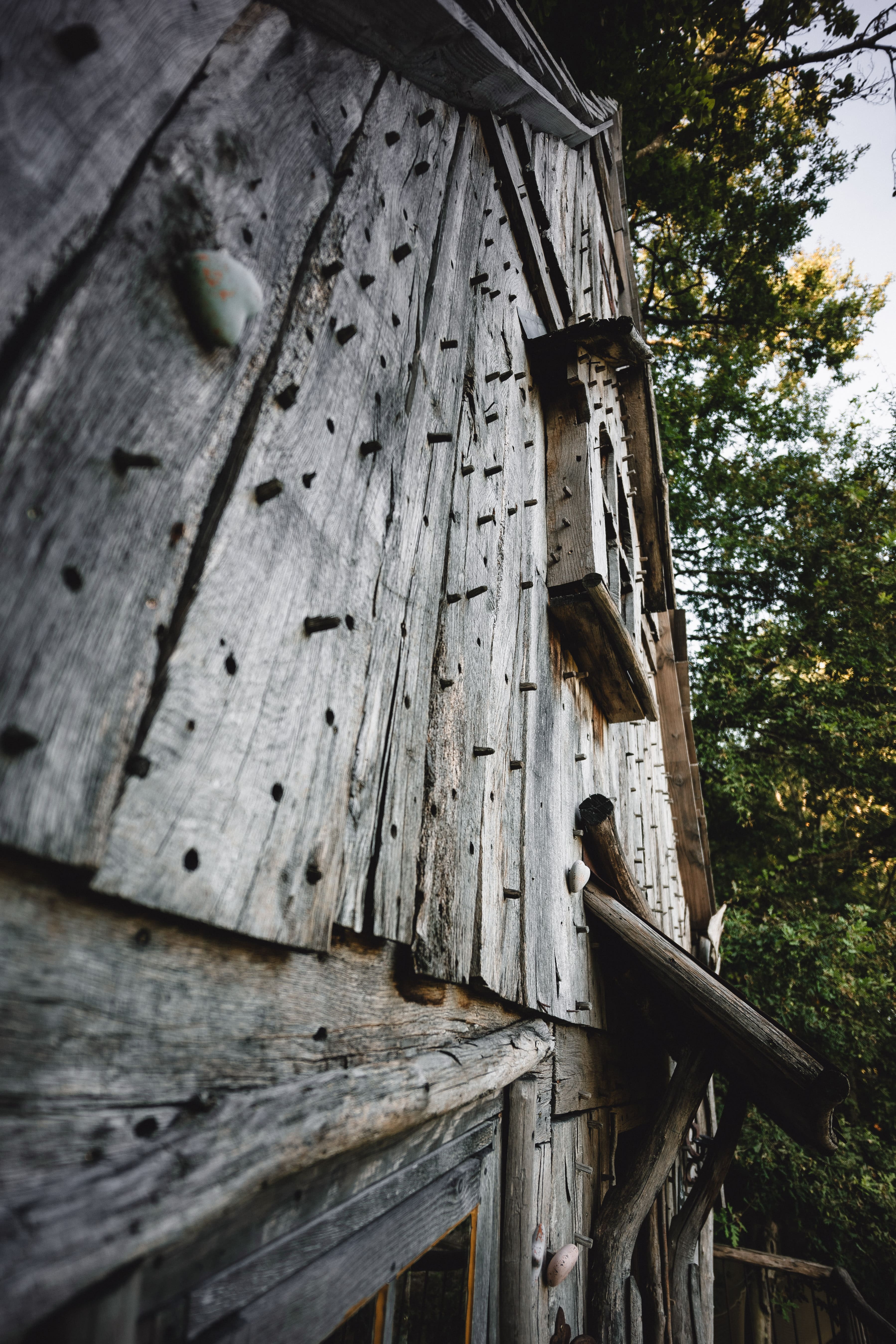 La cabane du Soleil — Cabane dans les arbres à 6m de hauteur en Corrèze à Brive-la-Gaillarde — vue depuis la terrasse