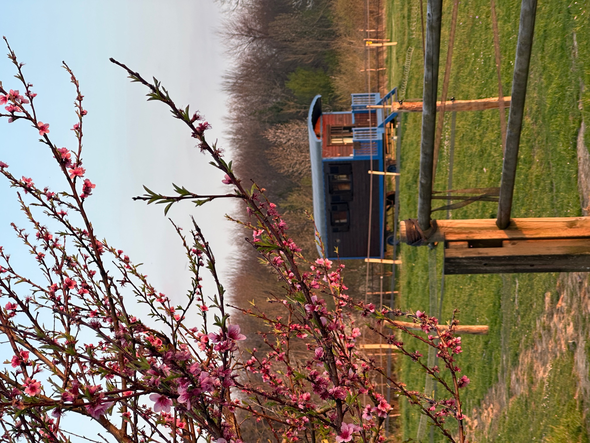 Roulotte Bluebell — Escapade bohème avec spa à Charente-Maritime à La Rochelle — cuisine