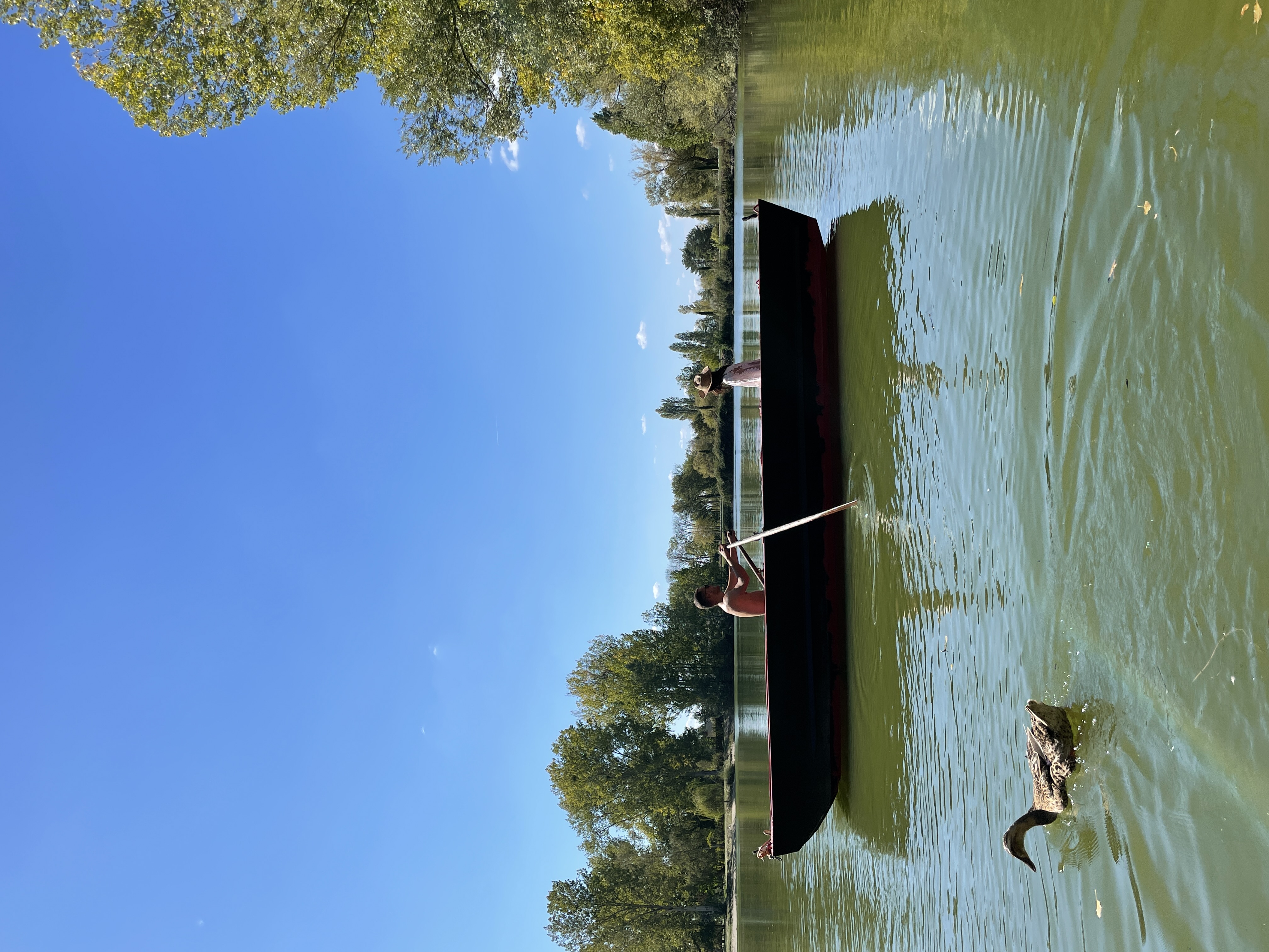 Bulle sur pilotis — Nuit romantique au bord d'un lac en Seine-et-Marne à Gravon — salle de bain
