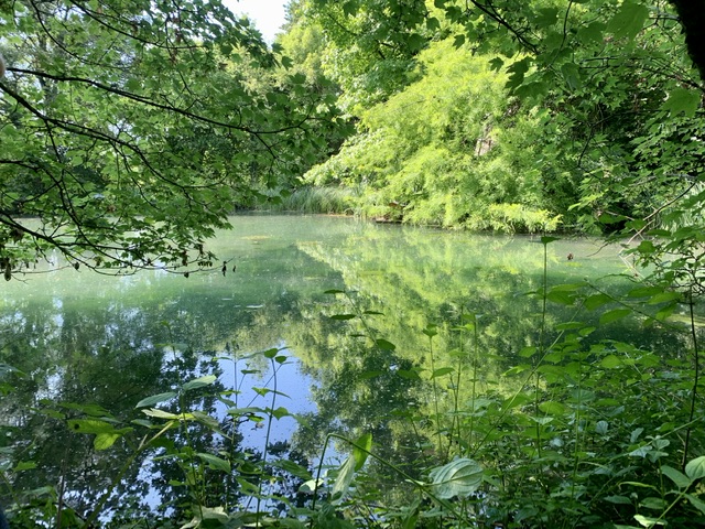 Chalet au bord de l’eau et des chevaux : une escapade romantique en Bourgogne à Sauvigny Les Bois — chambre