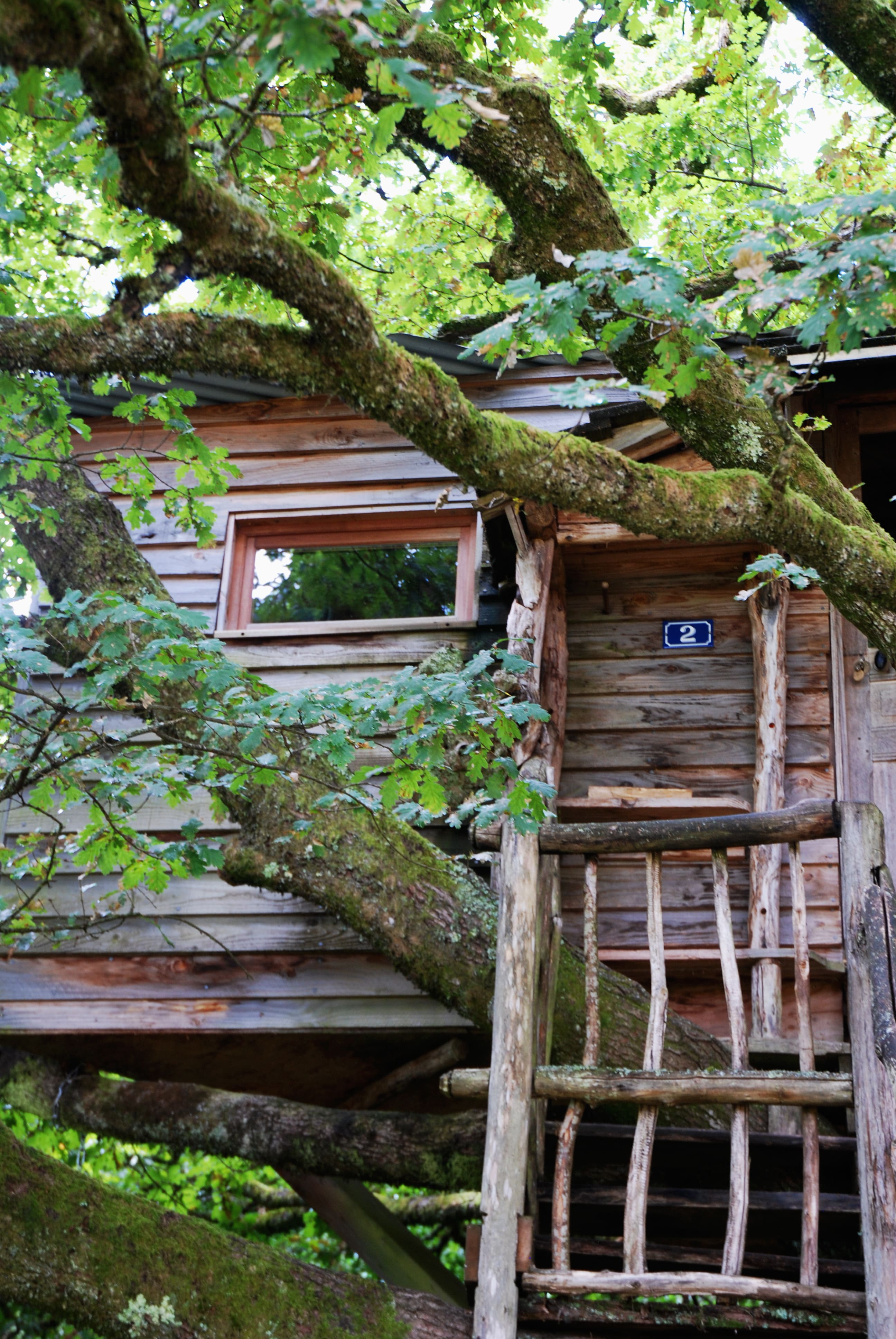 La cabane Peyrade — Nuit perchée à 6m dans les arbres en Corrèze à Brive-la-Gaillarde — cuisine