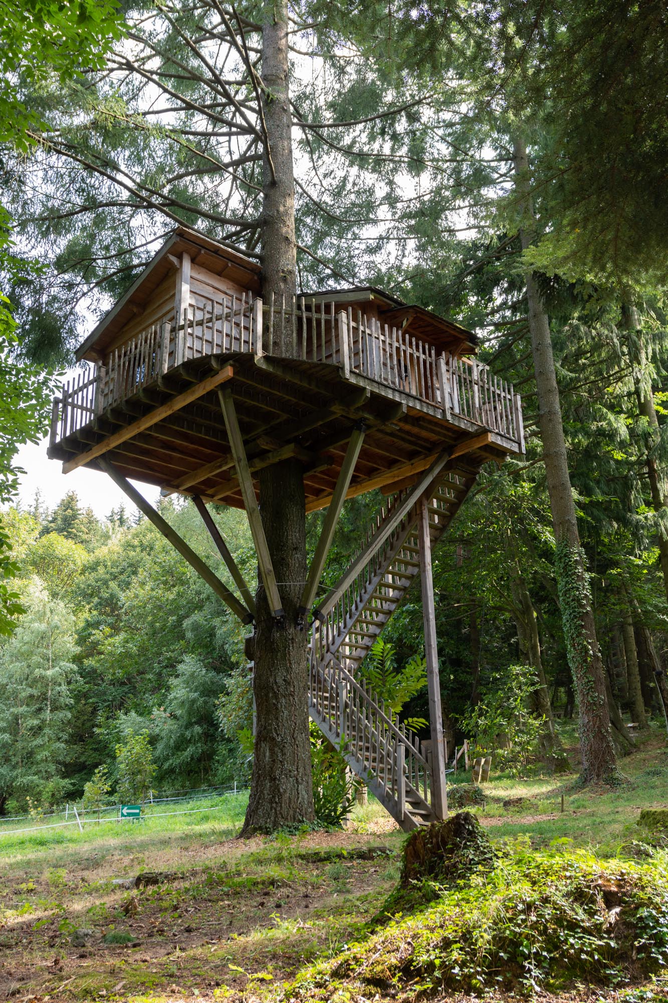 Cabane Marmotte : une expérience suspendue dans les arbres à Saint-Julien-Labrousse — cuisine