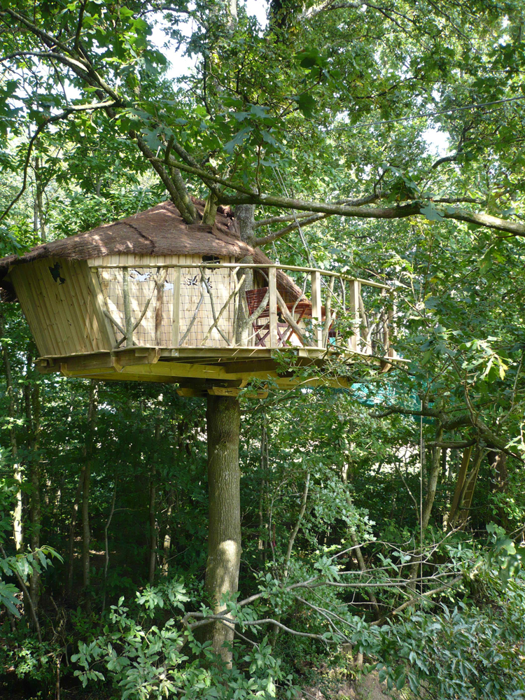 Cabane des Elfes : une escapade enchantée dans les arbres — Cabane à La Chapelle Chaussée