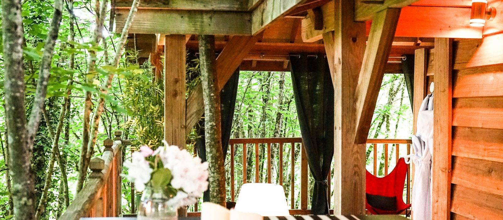 Cabane Spa Cyprès si Haut : une évasion dans les arbres à Saint Mexant — environnement naturel