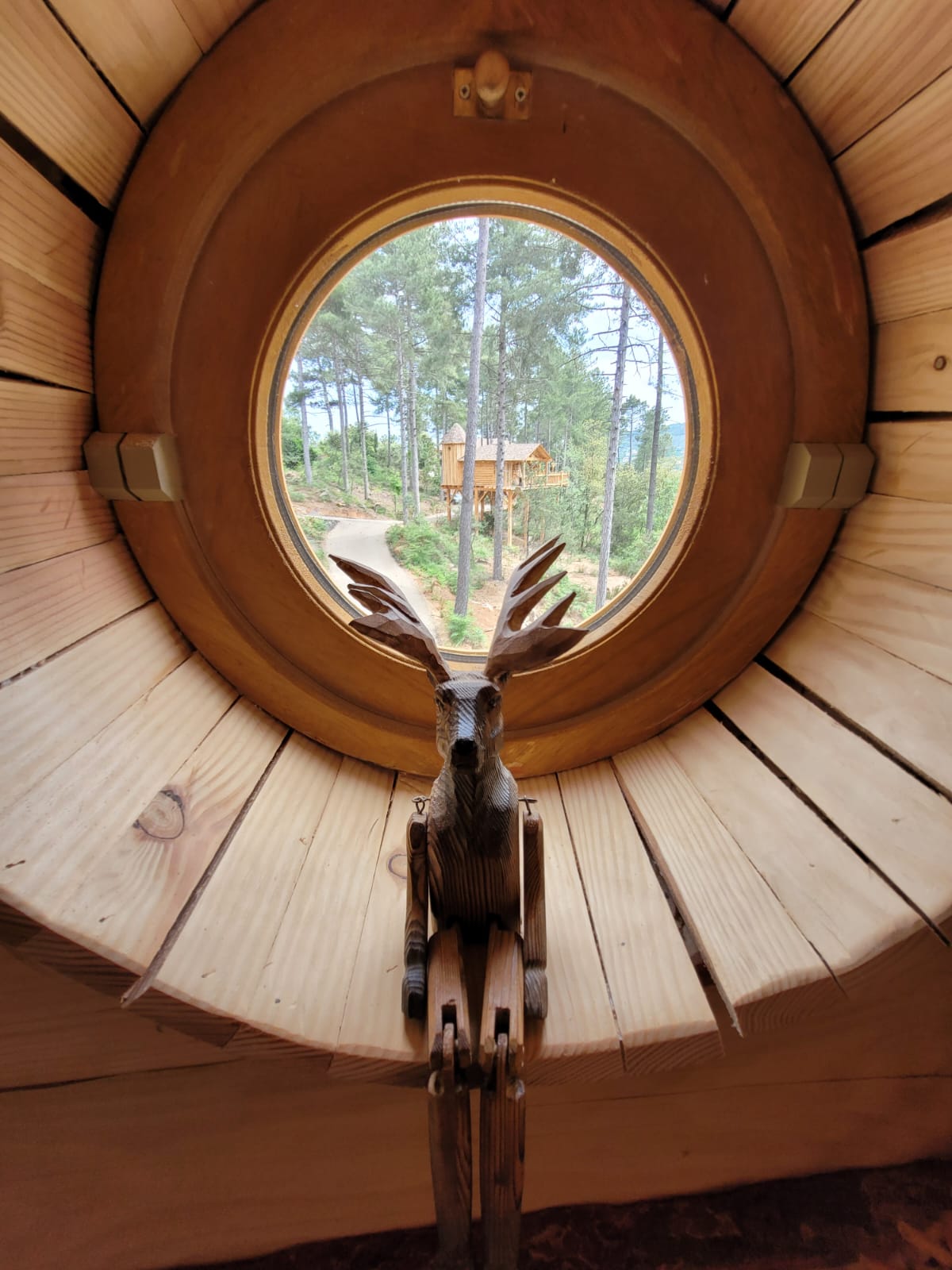 La cabane & spa Cassiopée — Nuit perchée à 9m en Ardèche à Aubenas — environnement naturel