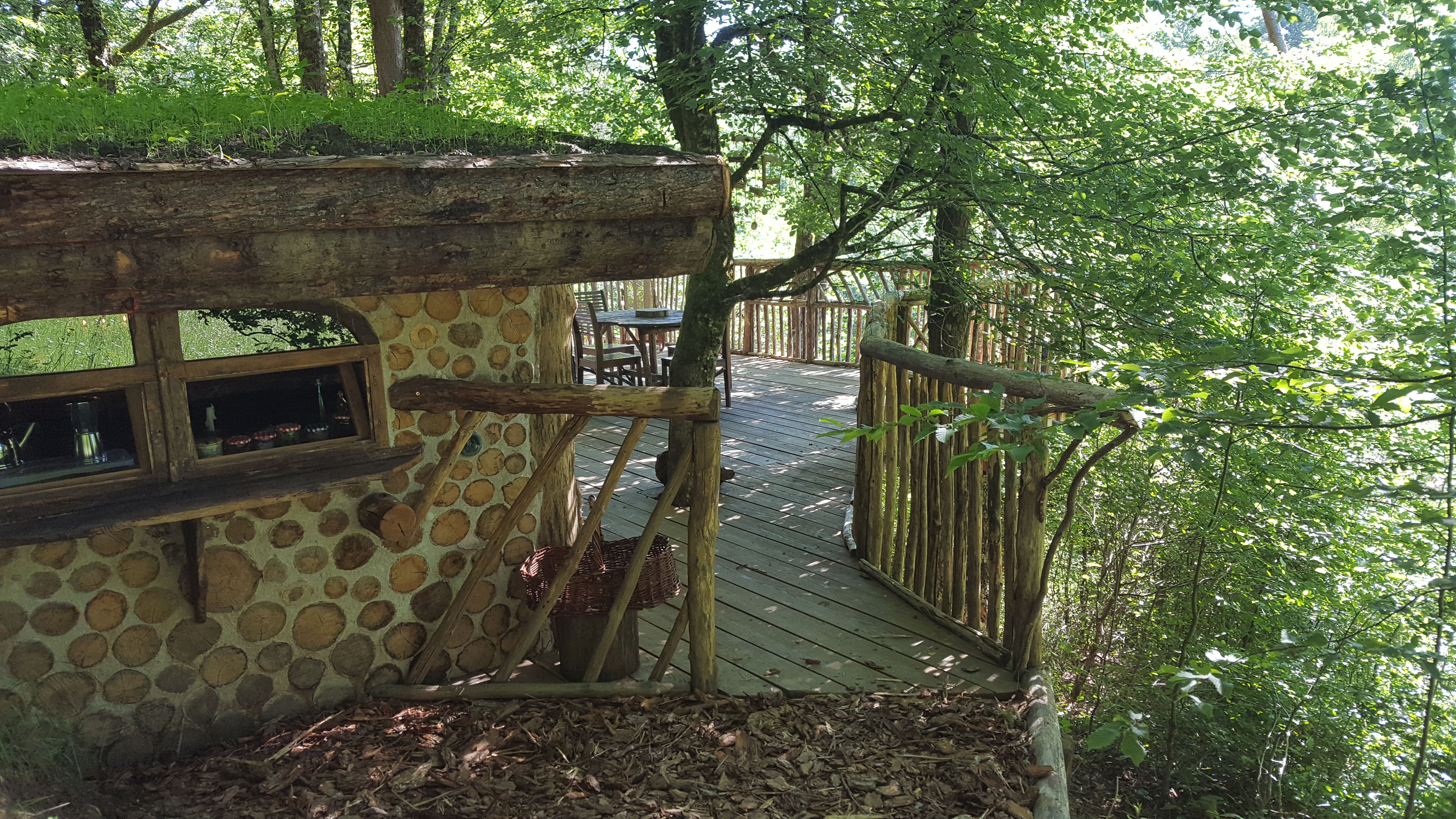La cabane du Terrier — Maison de hobbit à 6m de hauteur en Corrèze à Brive-la-Gaillarde — cuisine
