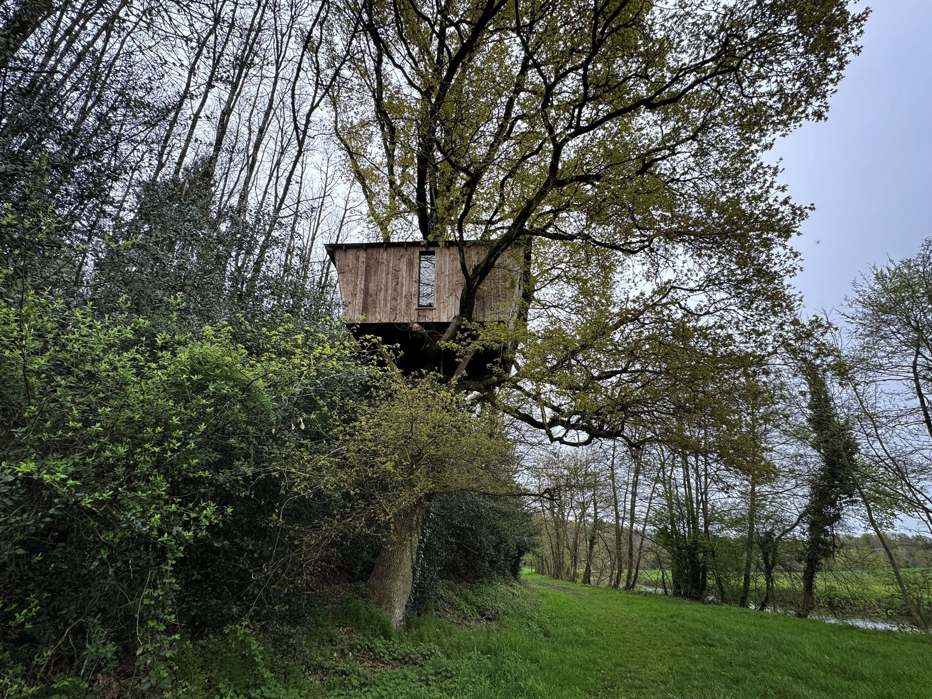 Cabane Pivert — Nuit perchée à 8m dans les arbres en Mayenne à L'Orbière — vue depuis la terrasse