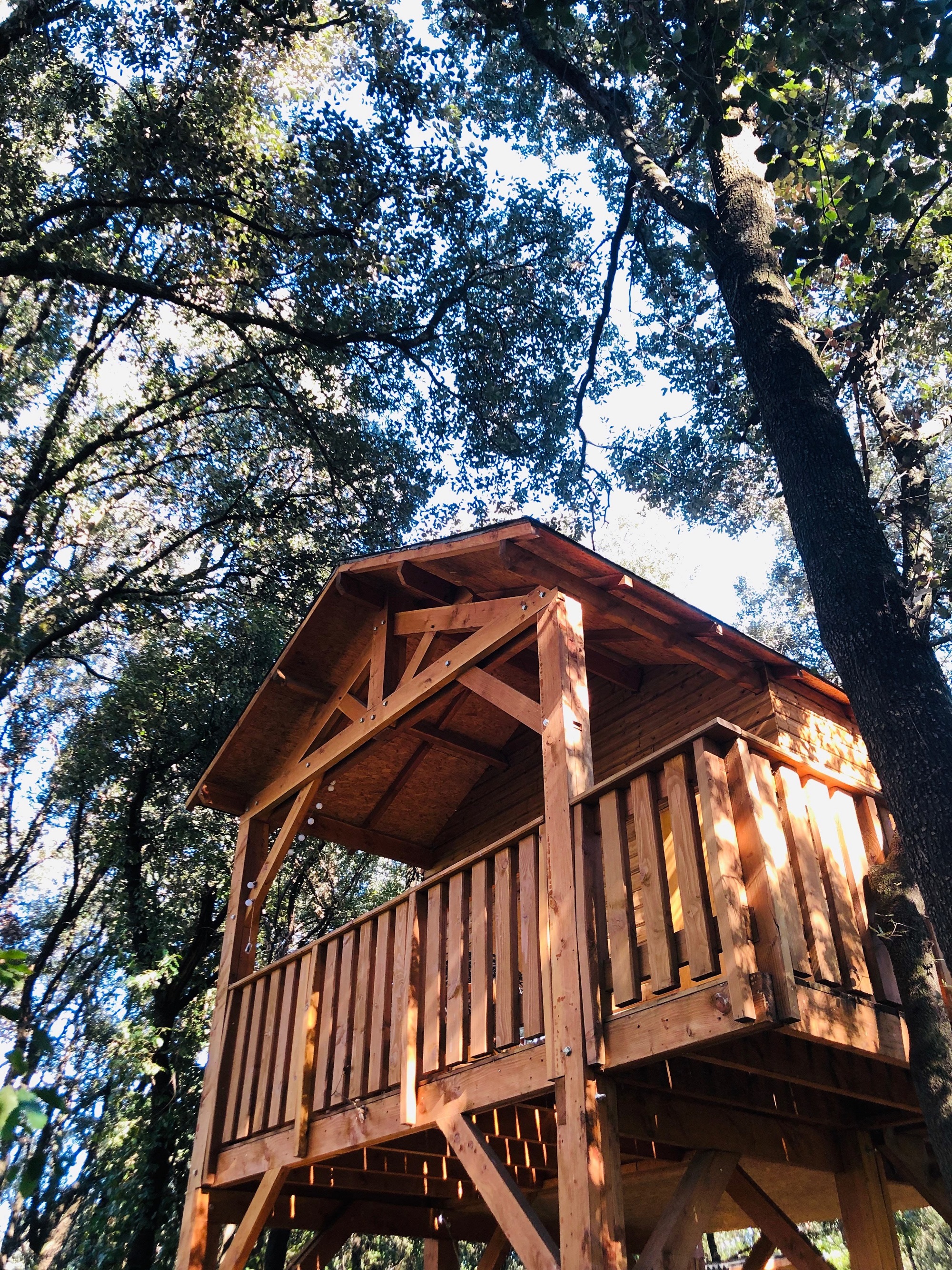 La Cabane Pascale : une échappée belle sur pilotis à Maureillas-Las-Illas — cuisine