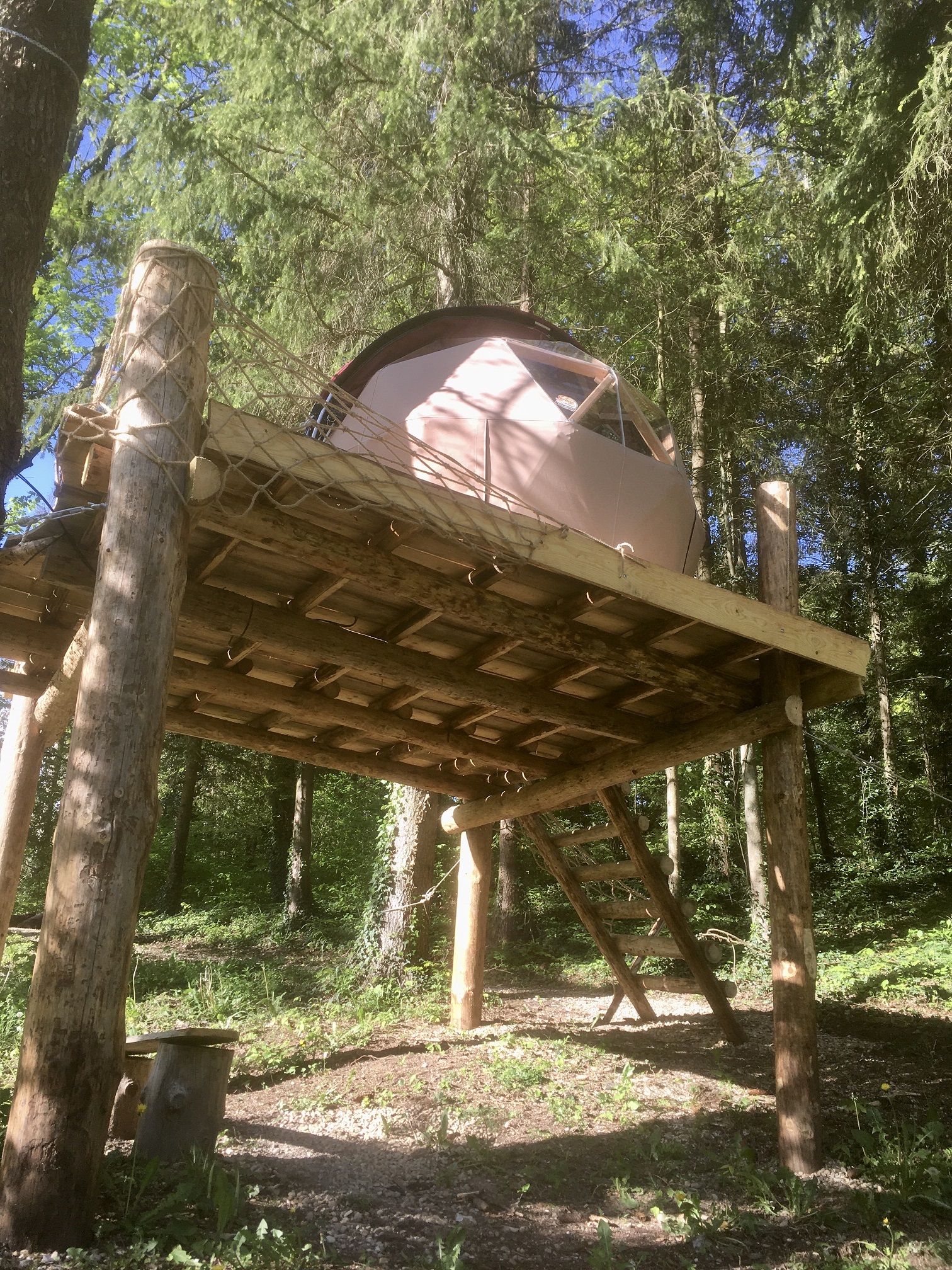Petite Ourse — Dôme perché à 4m dans les arbres en Meuse à Saint-Remy-la-Calonne — cuisine