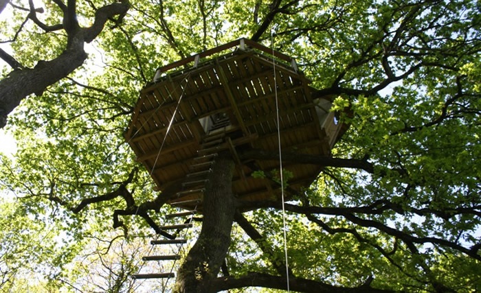La Cabane perchée Nijal : une expérience unique dans les arbres à Ploemel — vue intérieure