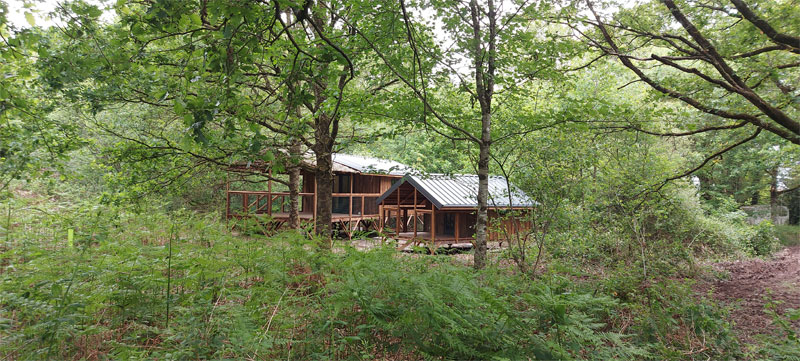 Cabane sur pilotis à Saint Pierre Des Echaubrognes : une expérience immersive à Saint Pierre Des Echaubrognes — vue intérieure