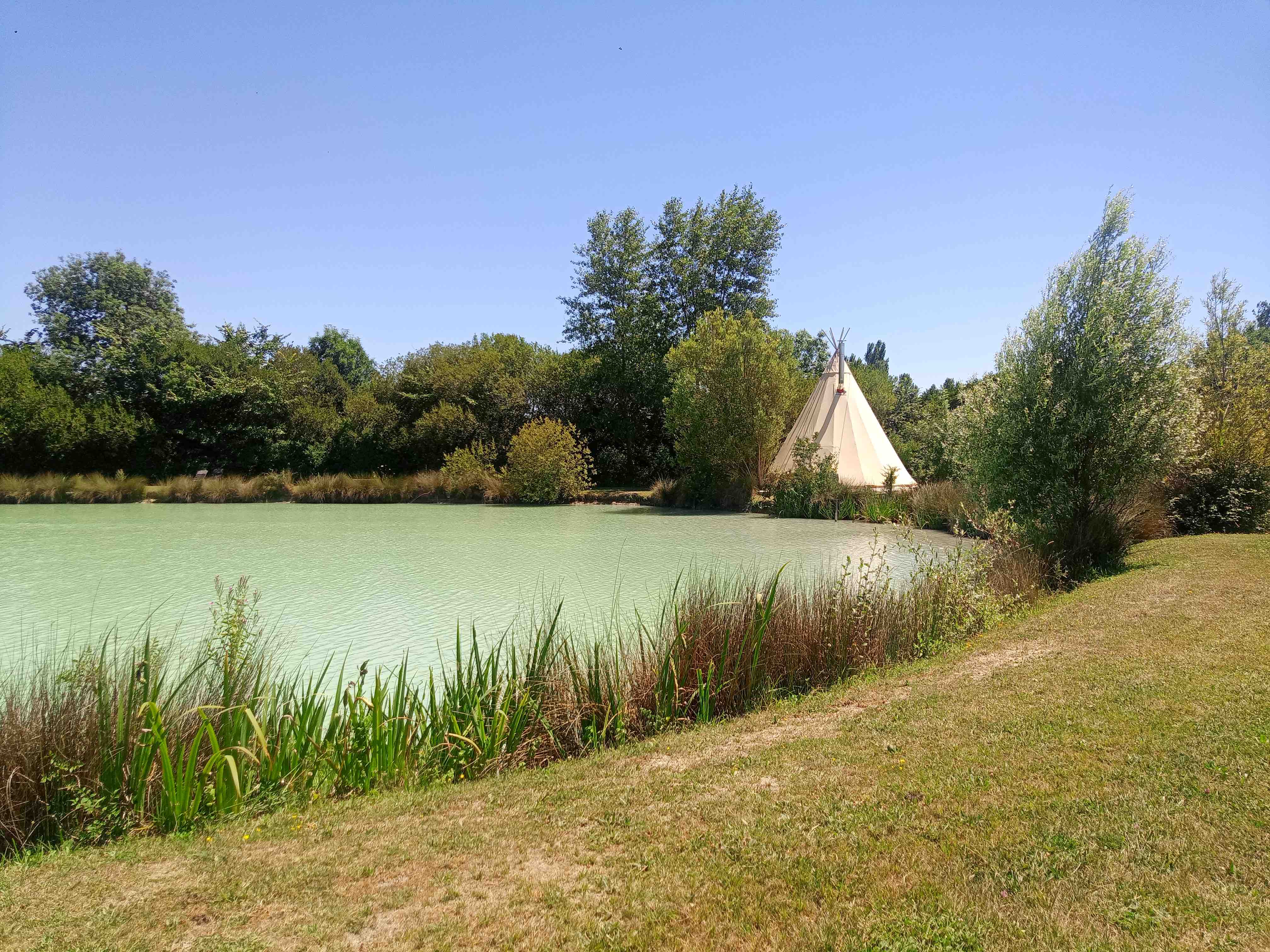 Le Tipi du Castor : une expérience immersive en pleine nature