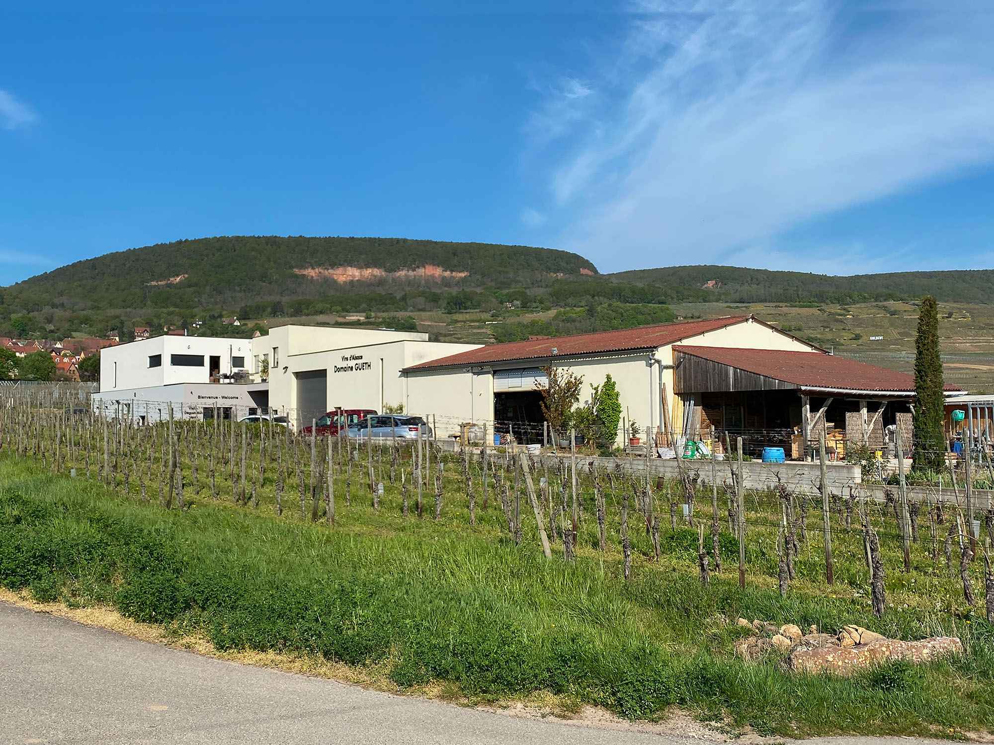 L'Inattendue — Suite élégante avec spa à Gueberschwihr (Haut-Rhin) à Gueberschwihr — espace de vie