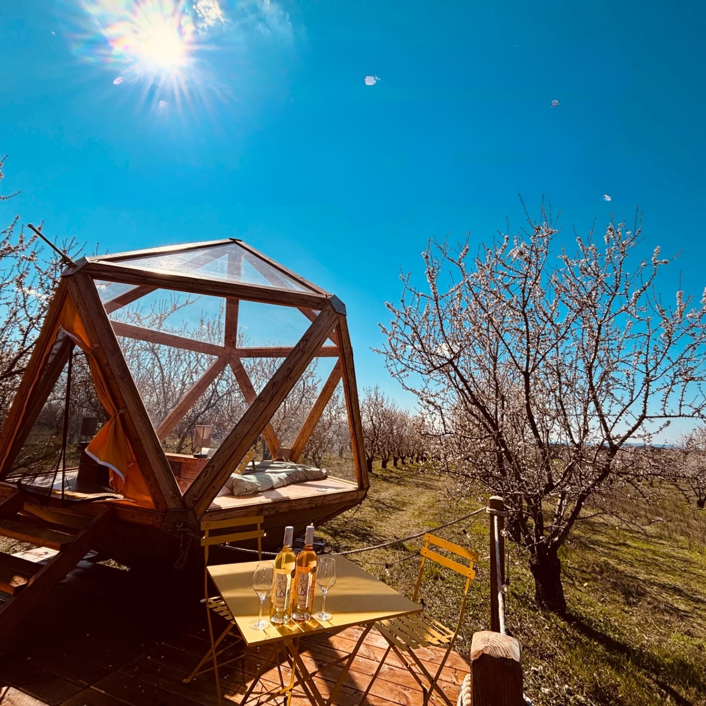 La bulle Ico : un dôme enchanteur en Provence à Valensole — chambre