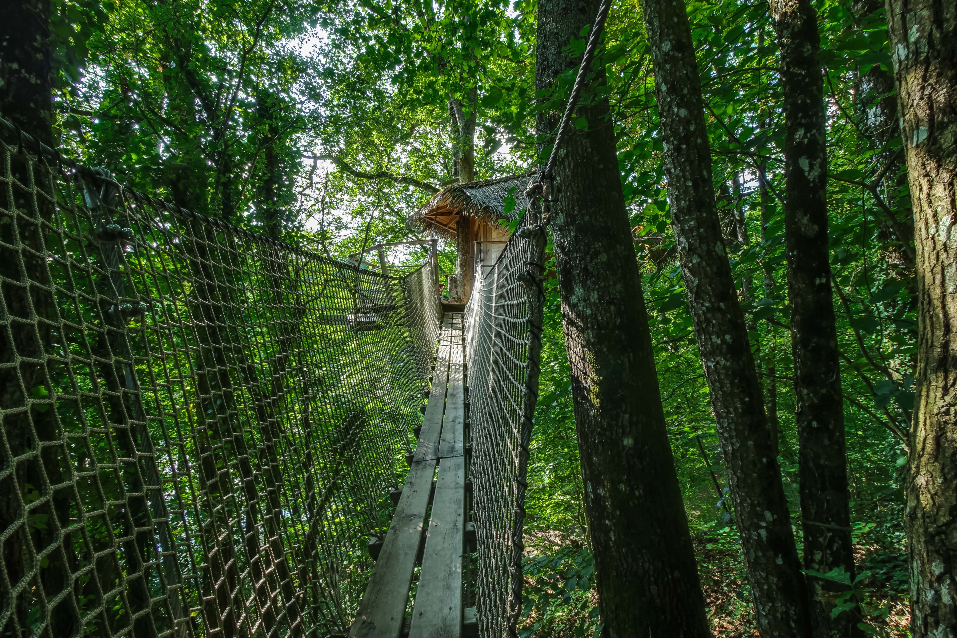 Cabane Spa Shanghai : une évasion dans les arbres — Cabane à La Baconnière