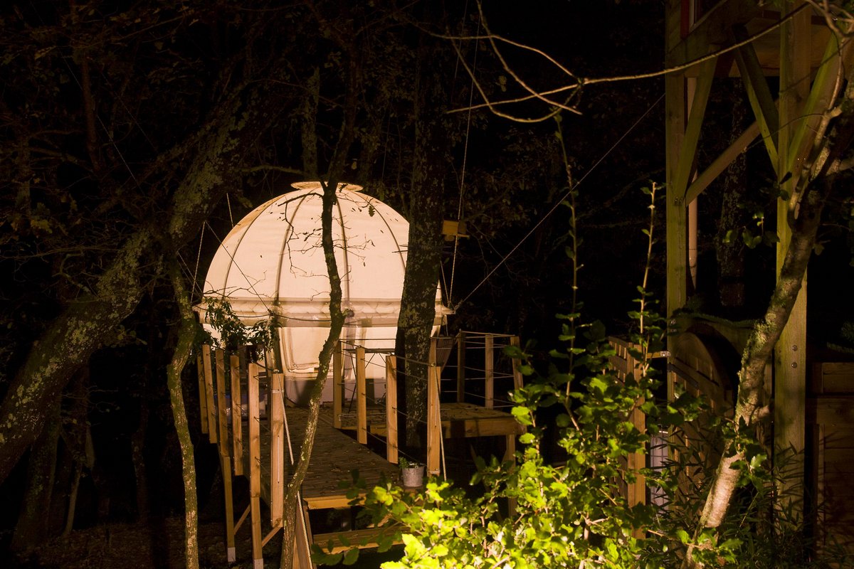 Nid'Aile Nid'Isle : un lodge enchanteur en pleine nature