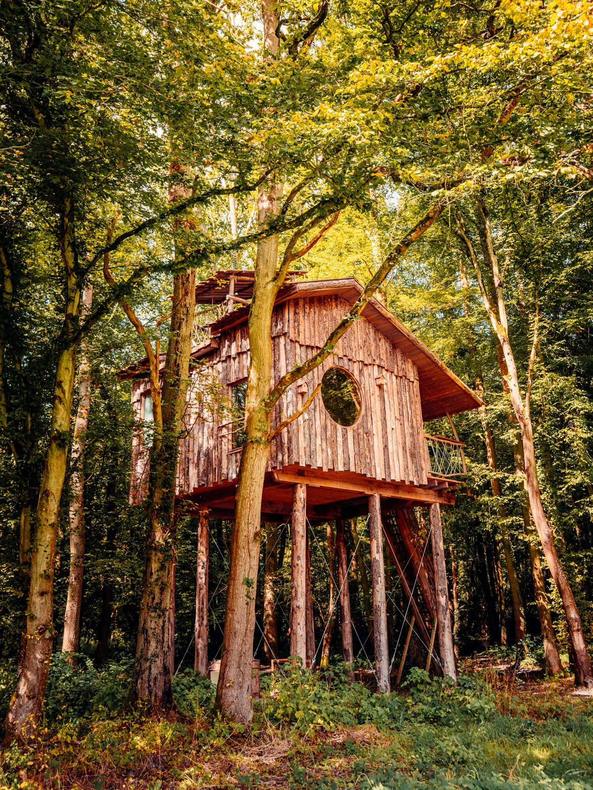 Cabane Spa Nid des Bois : une évasion en hauteur en Picardie à St-Léger-Aux-Bois — vue intérieure