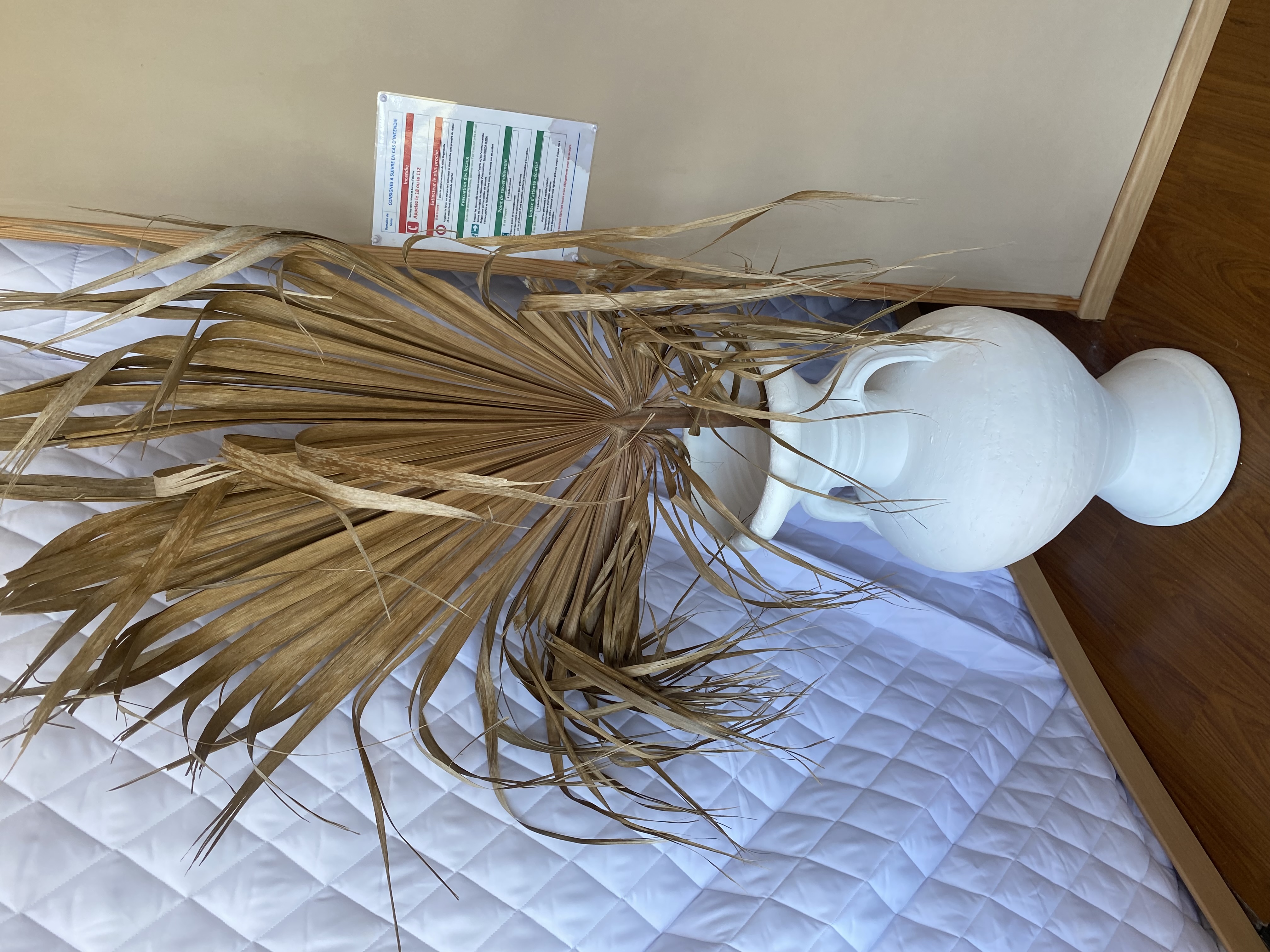 Zingarabella — Dôme avec spa à Corse-du-Sud à Ajaccio — espace de vie