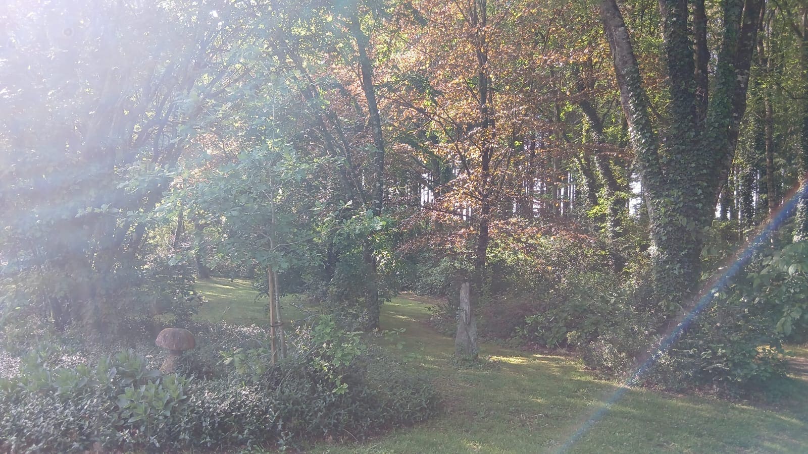 Le Temple Ysambre & Spa — Cabane avec jacuzzi en Bretagne à Vannes — environnement naturel
