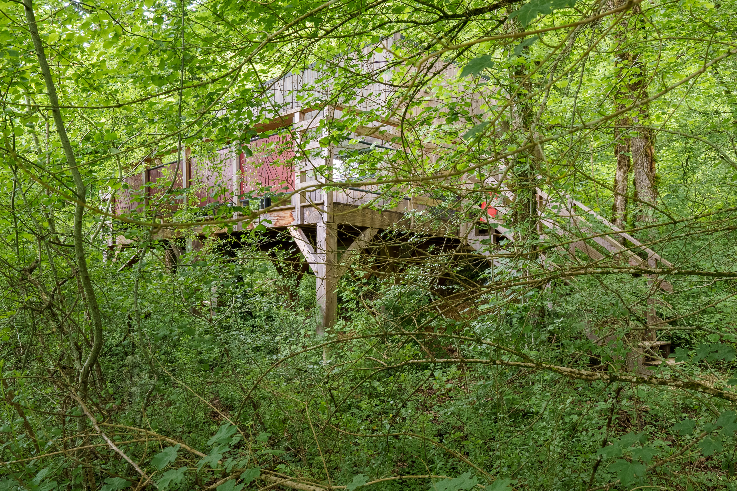 Cabane perchée Carpinus & Spa — Nuit romantique à 2m en Haute-Marne à Marnay-Sur-Marne — espace de vie