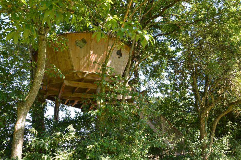 Cabane des Cartes : une expérience suspendue dans les arbres