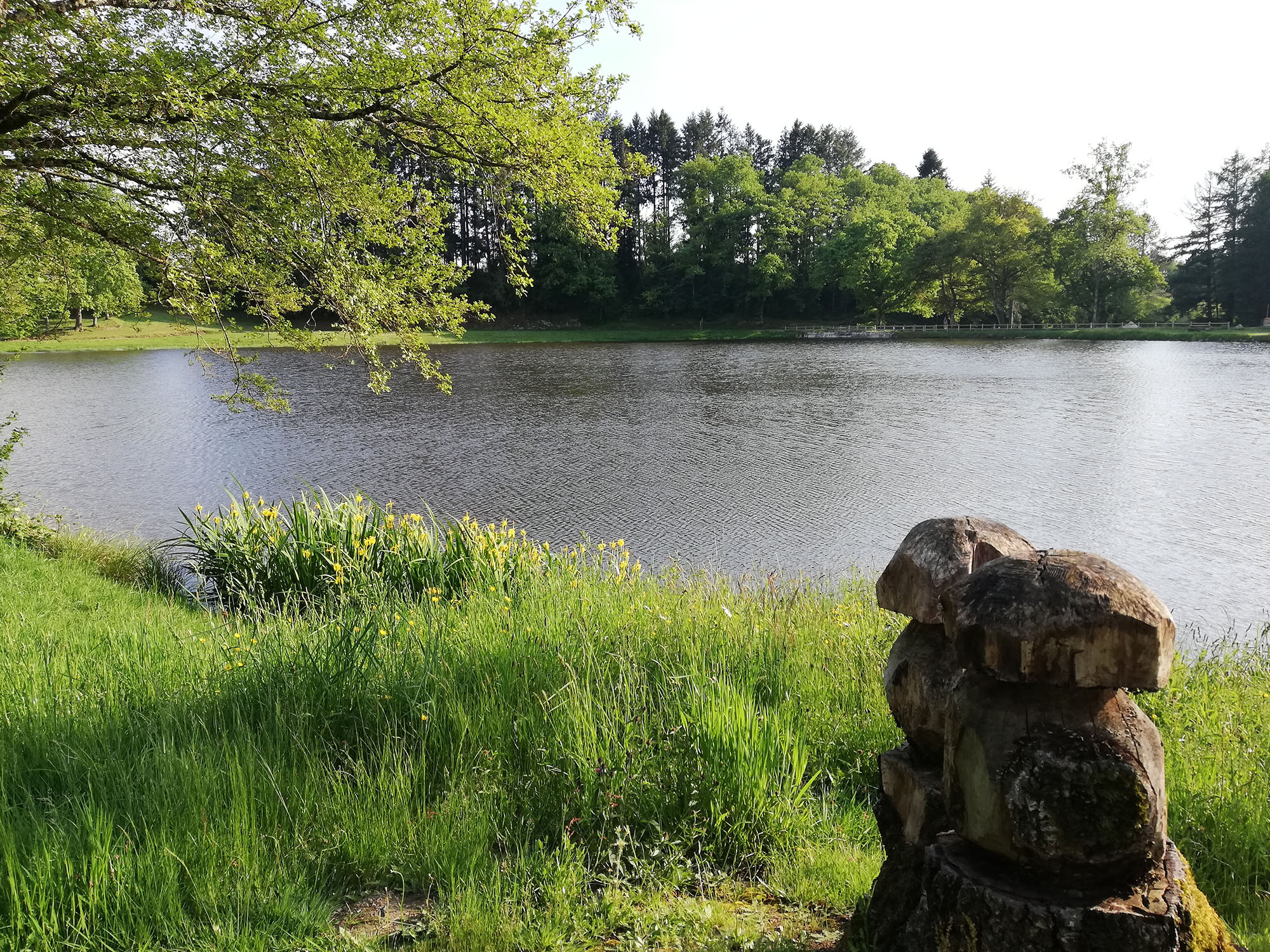Séjournez dans une tente lodge au cœur du Limousin à La Croisille-Sur-Briance — espace de vie