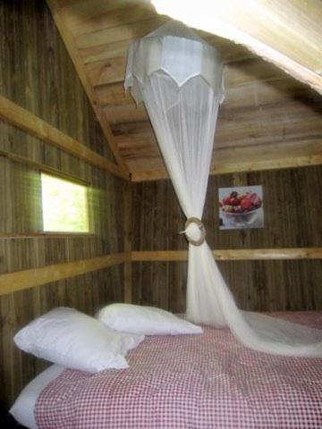 Cabane de la ferme : une expérience immersive dans les arbres à Giffaumont — vue intérieure