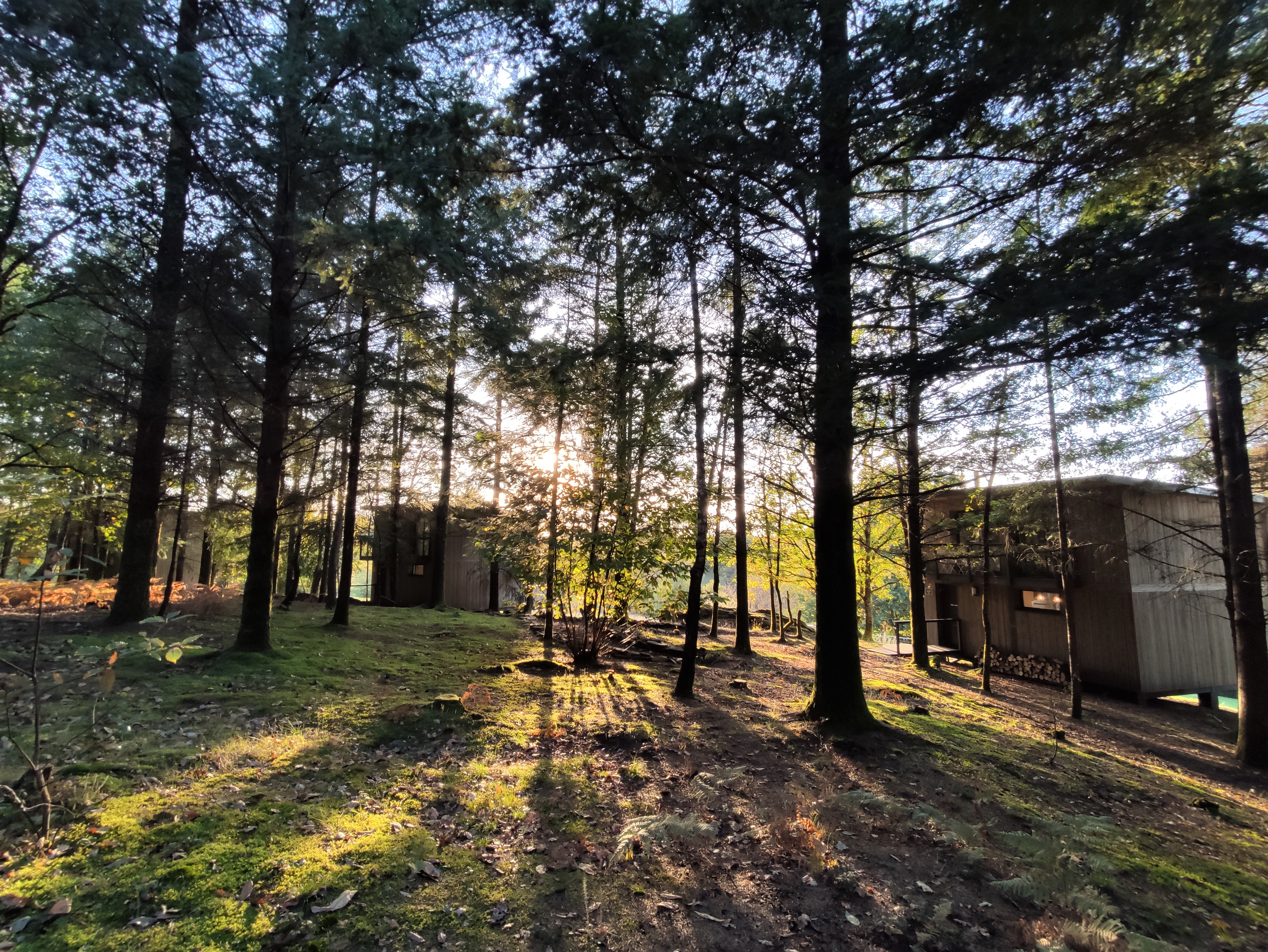 Lodge Spa Jeanne : une cabane immersive en Limousin à Palazinges — détail architectural