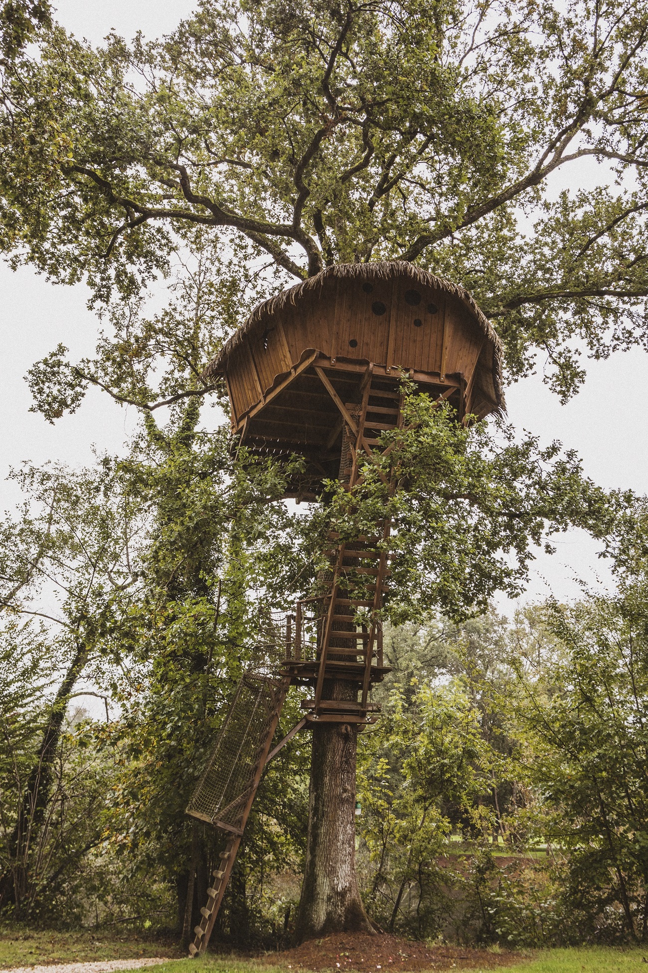 Cabane Reflet : une évasion perchée dans les arbres à Chassey-Lès-Montbozon — espace de vie